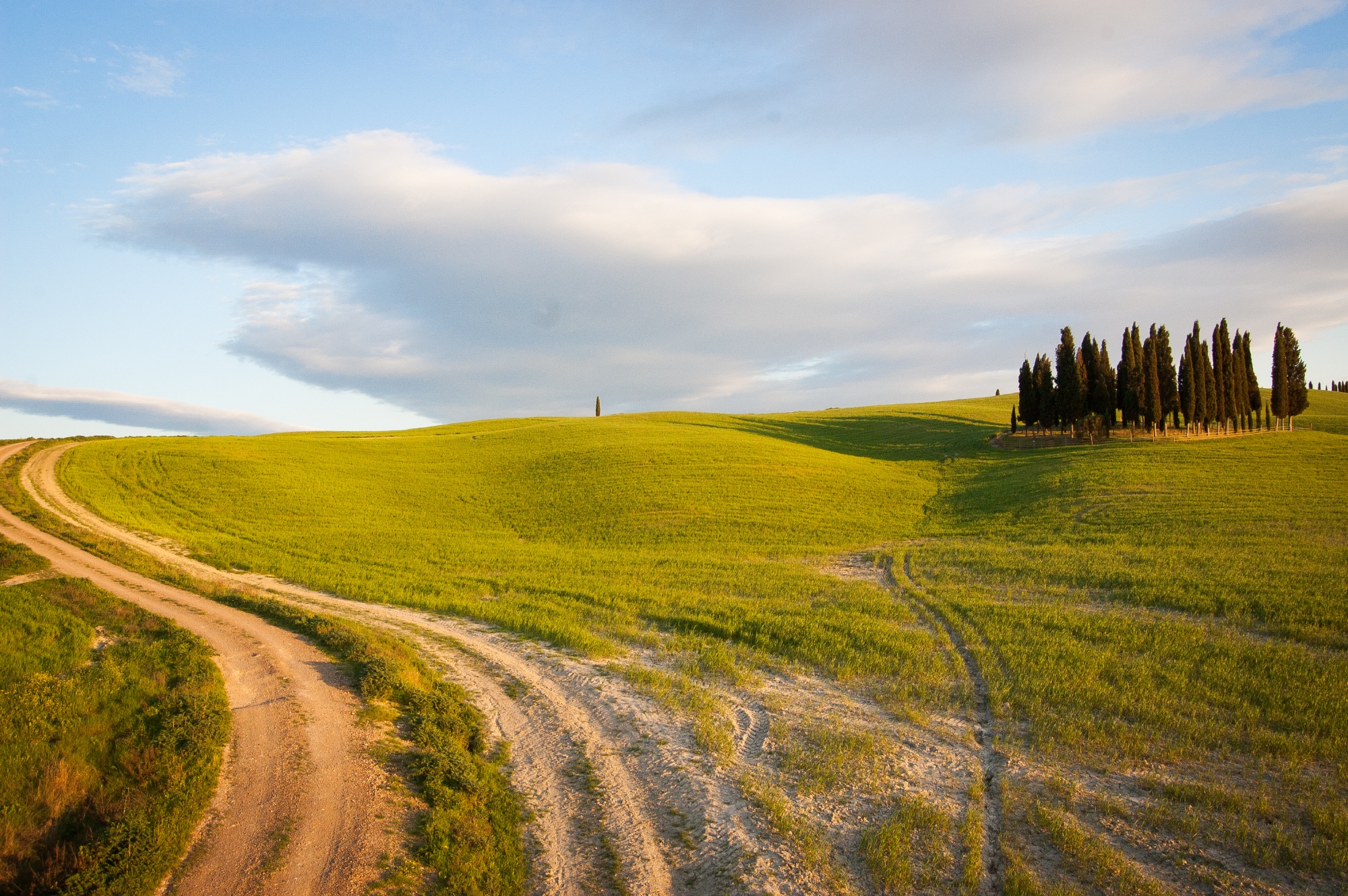 Val d'Orcia bike tour