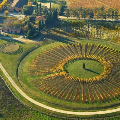 Wine tour in Toscana nelle aziende selezionate da Wine Spectator