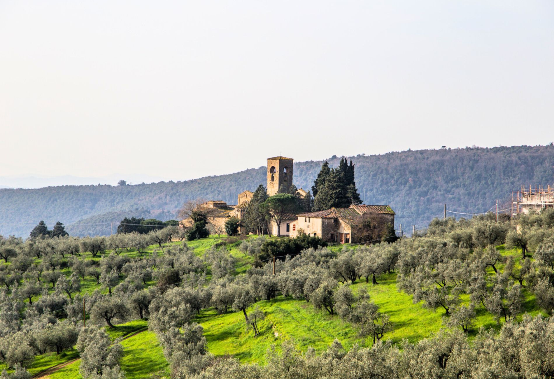 Countryside around Artimino