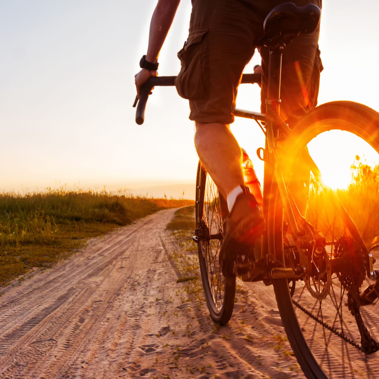 Attraverso i campi di lavanda in bici