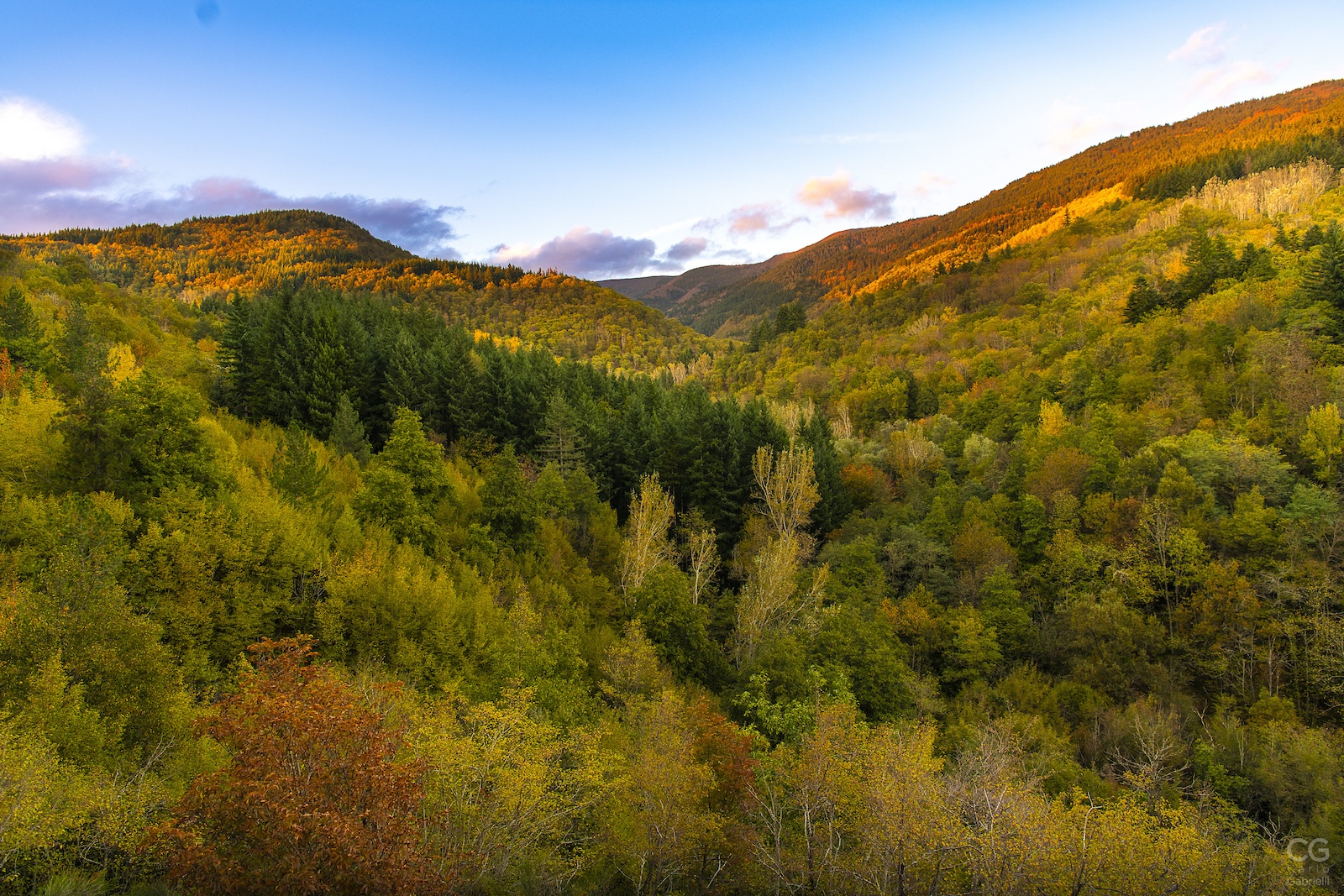 Paesaggio montano autunnale con foresta di faggi e alberi dorati illuminati dal sole al tramonto