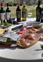 Visita e degustazione alle Cantine Tamburini a Gambassi Terme