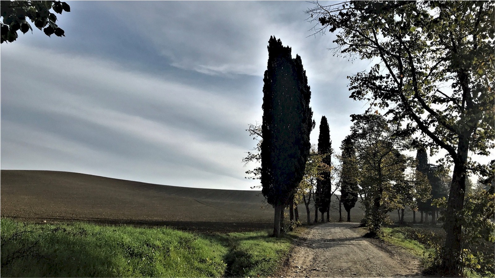 Tour di 14 km nel Mugello tra storia, natura e spiritualità