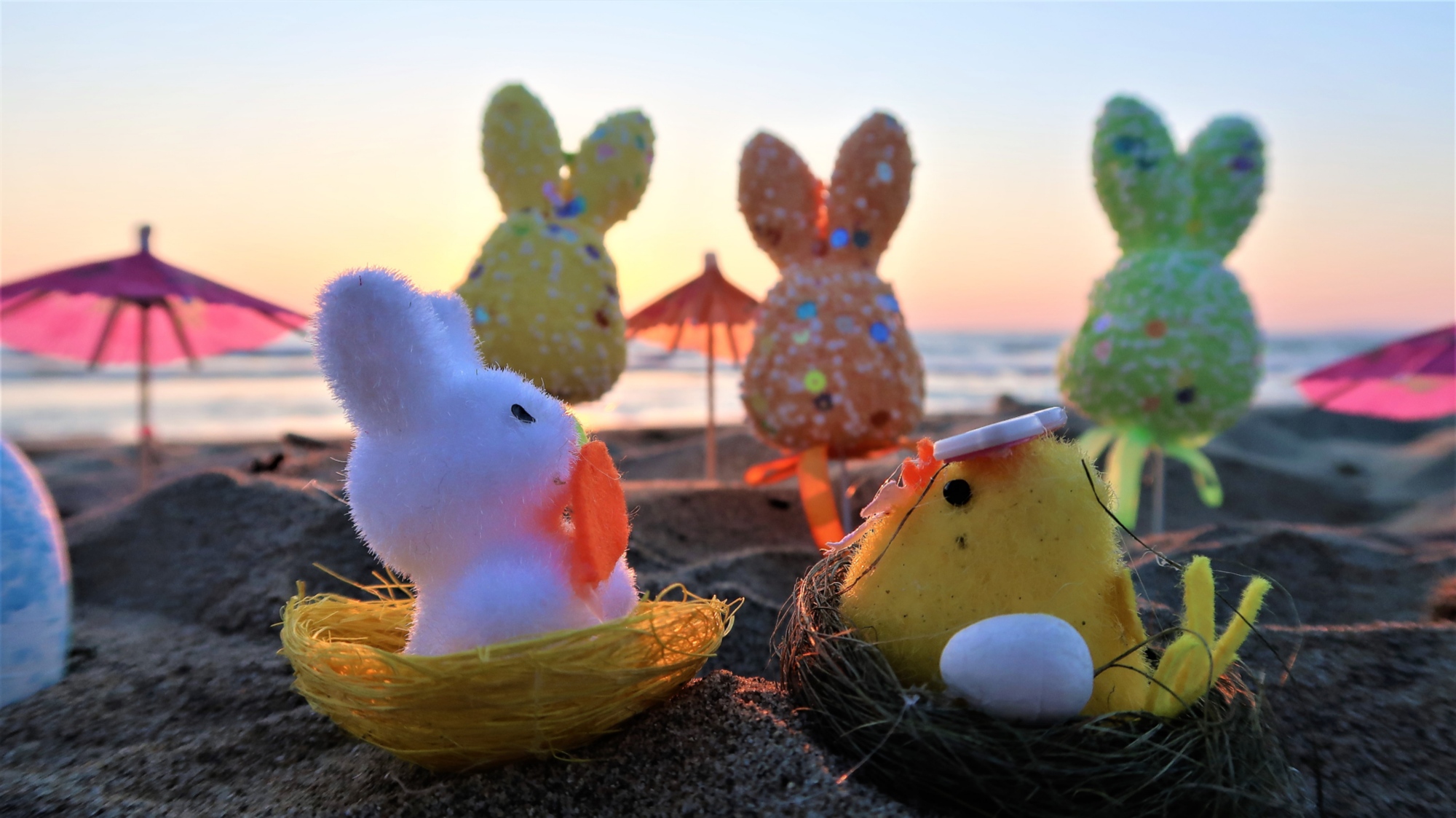 Pasqua a Viareggio presso Hotel Tahiti, a due passi da mare della Versilia