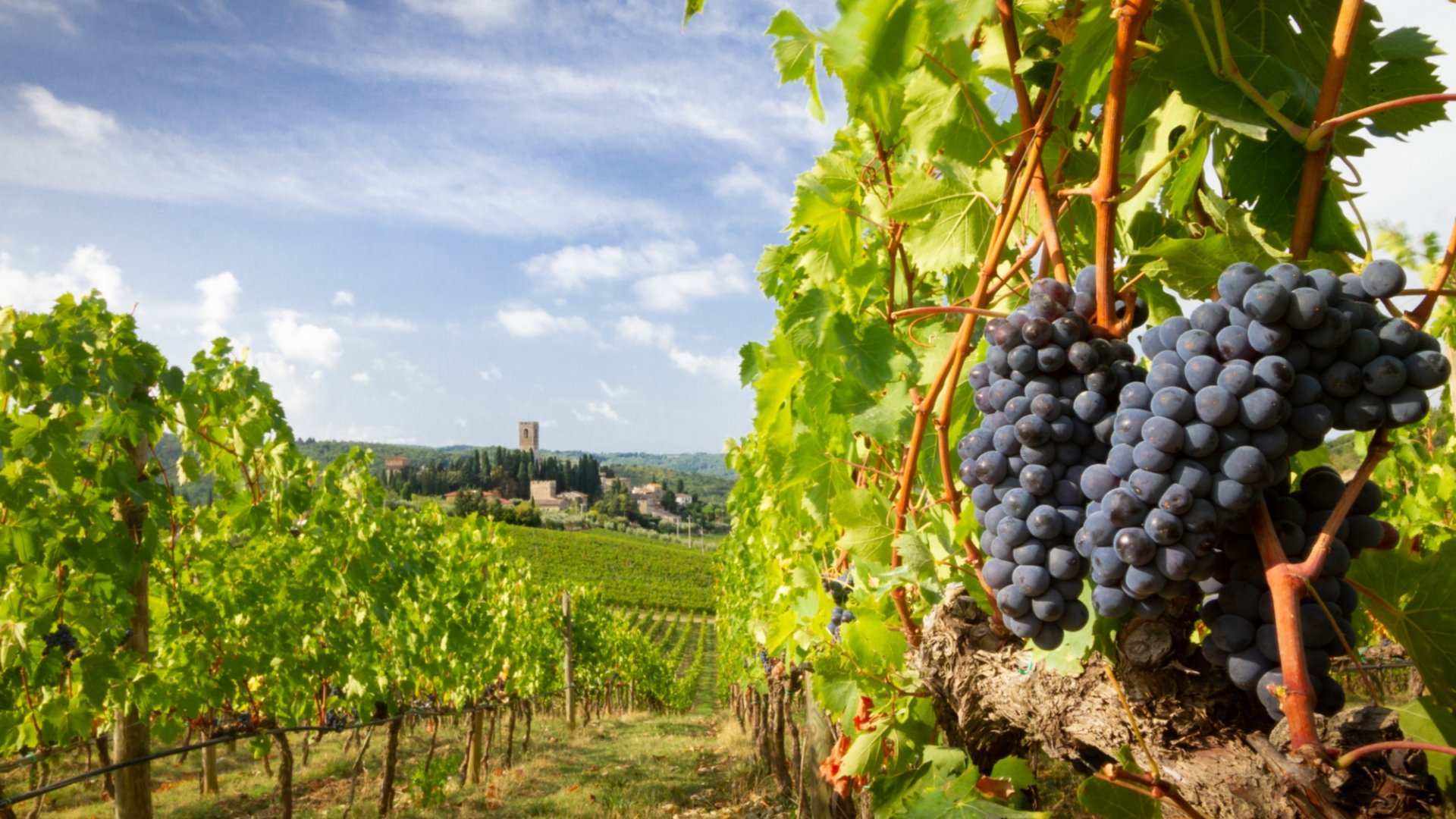 A package of experiences with tasting, cooking and visit to discover the flavors of Chianti