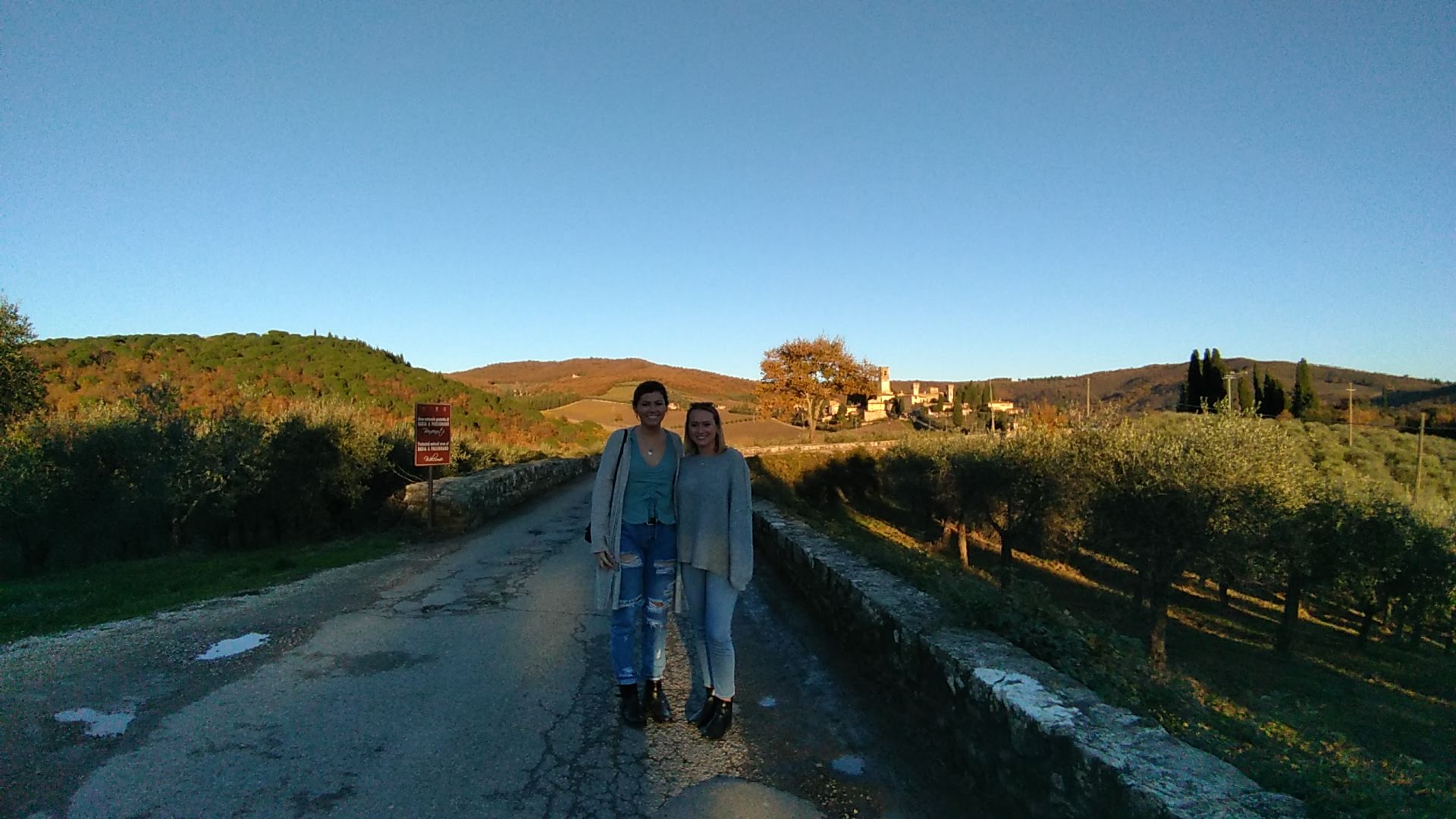 Private tour with various tastings and dinner in the Chianti hills