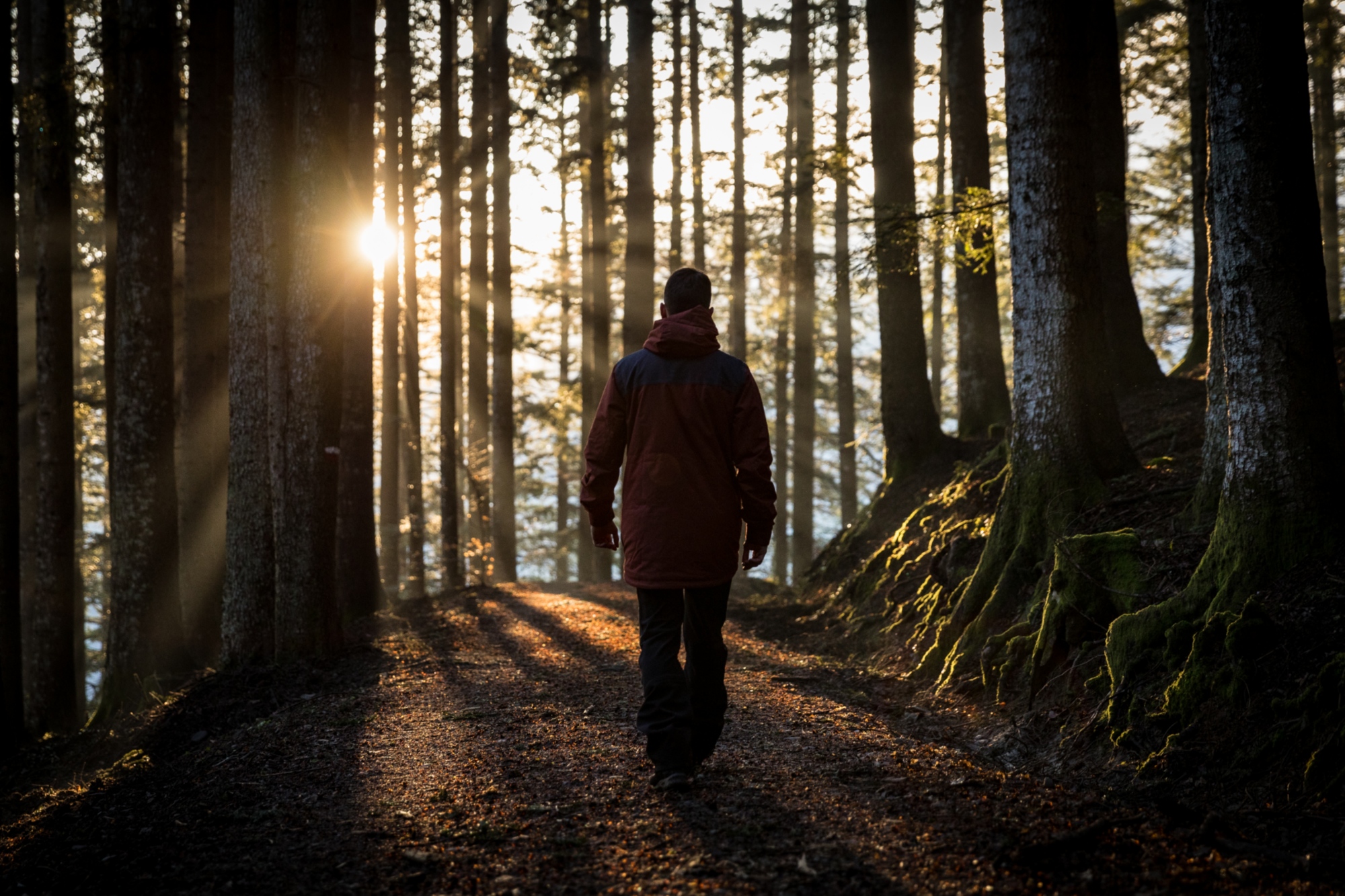 Trekking im Park der Wälder des Casentino