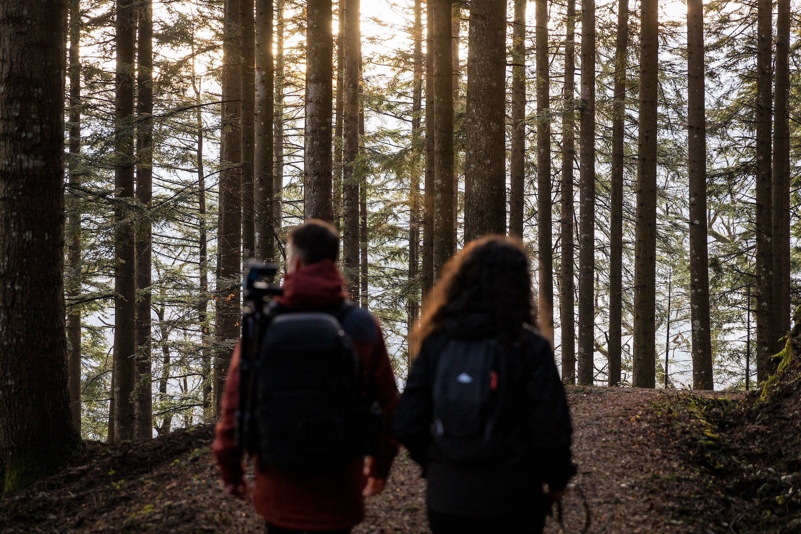 Wandern im Naturpark Foreste Casentinesi