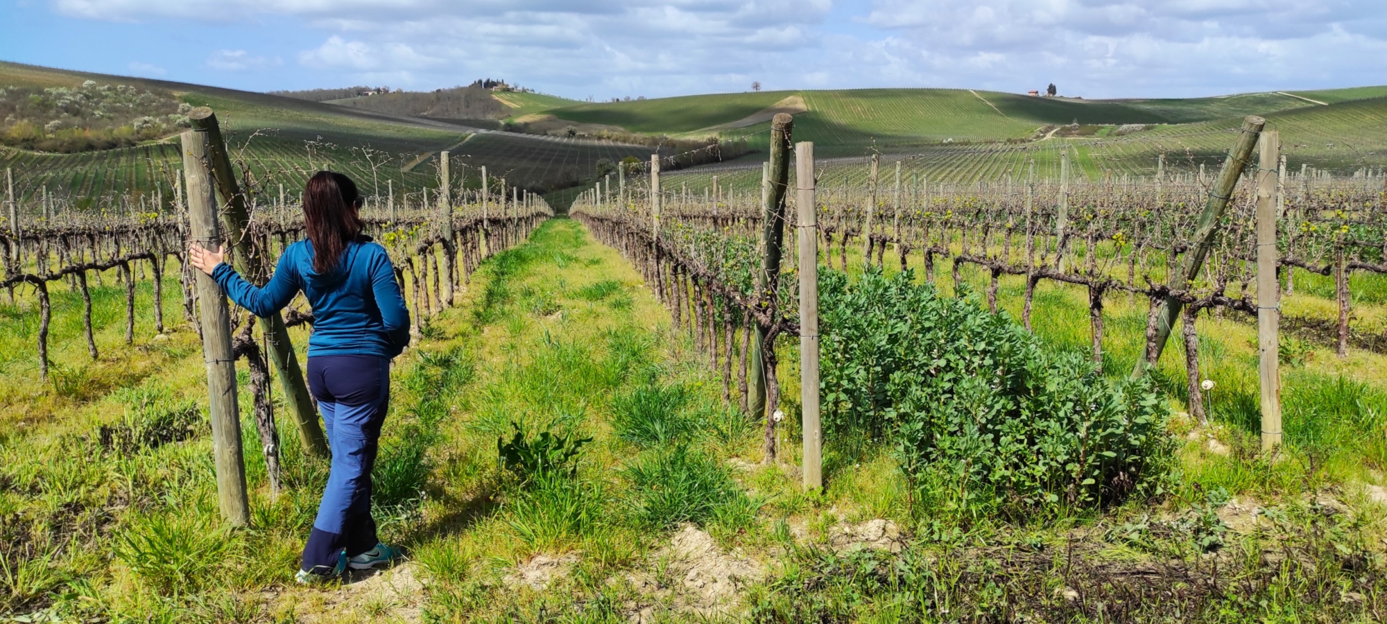 Walking and wine tour experience in Radda in Chianti