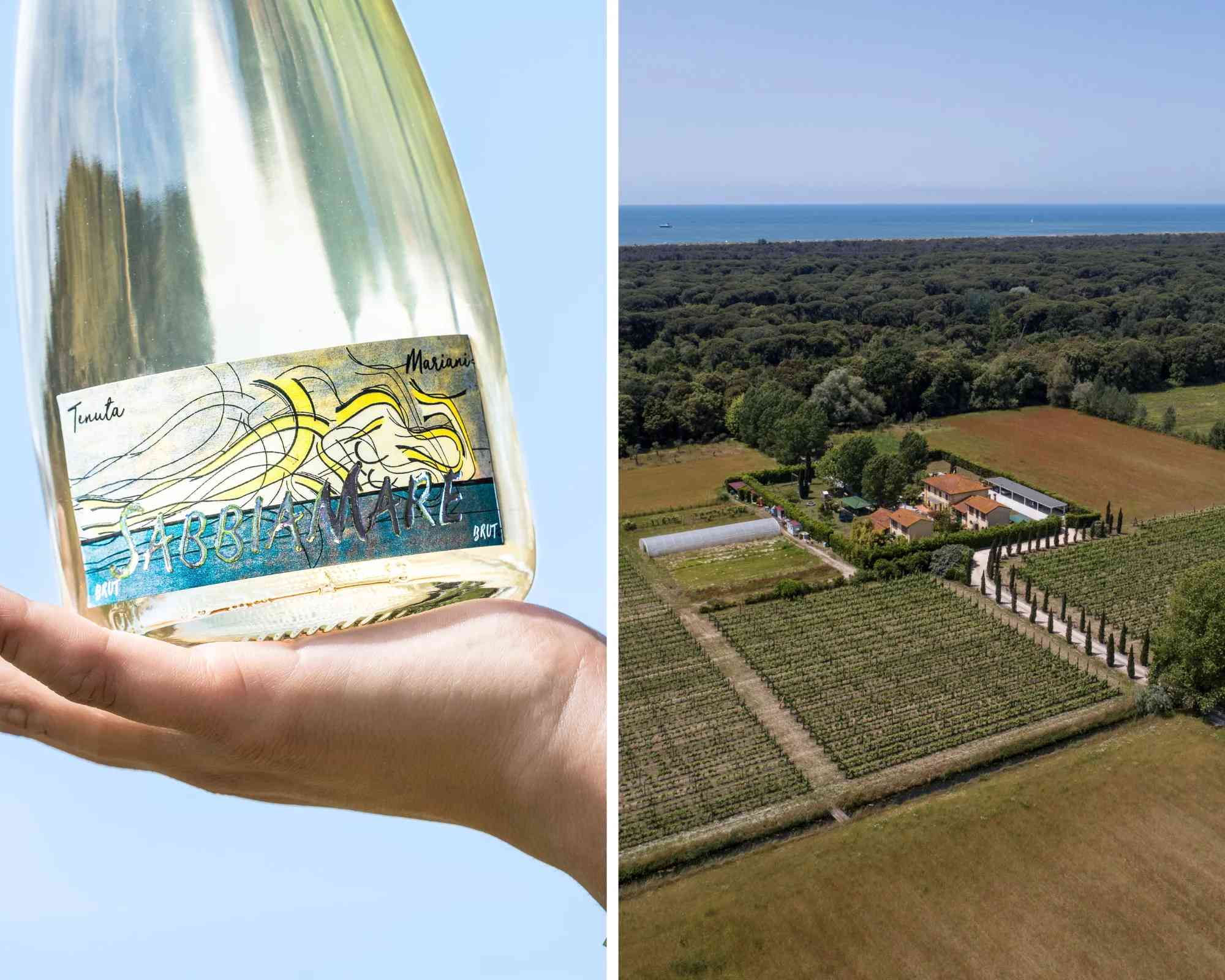 In e-bike tra vino e olio sul lago di Massaciuccoli