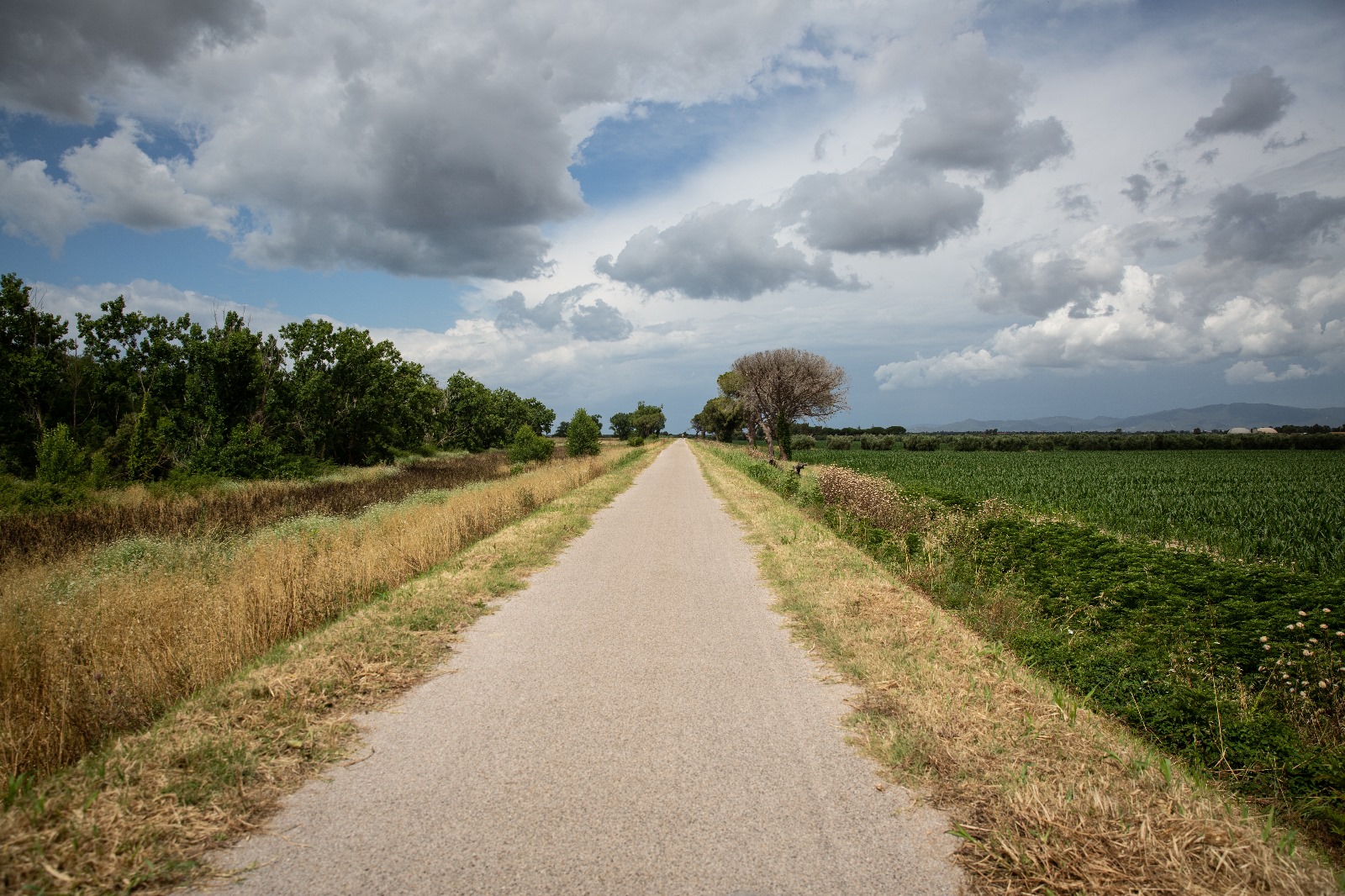 Visita al Parco della Maremma in sella ad una speciale bicicletta dedicata alle persone con disabilità fisiche e sensoriali