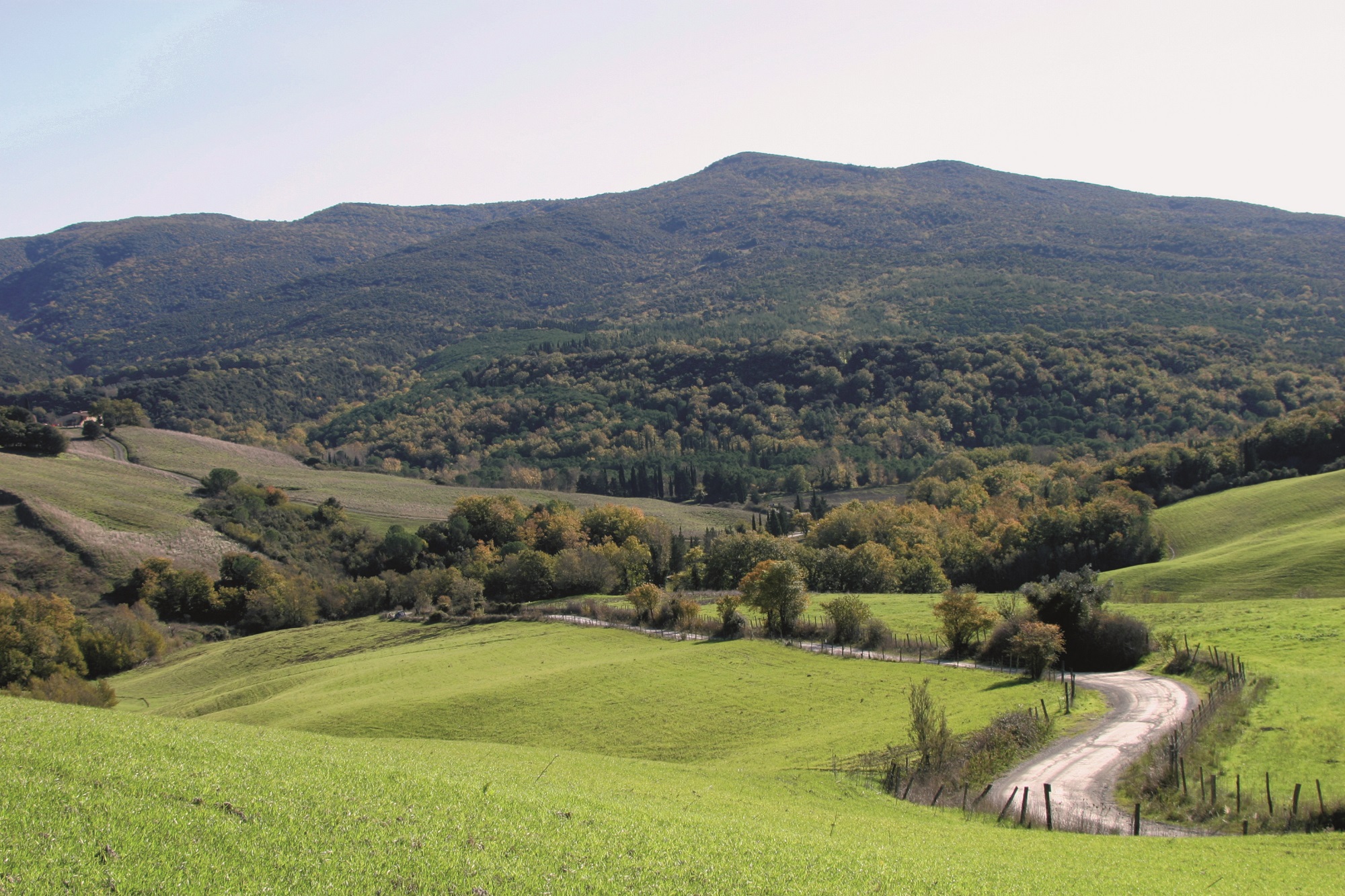 Berignone and Tatti Nature Reserve Bike Tour