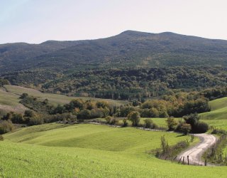 Berignone and Tatti Nature Reserve Bike Tour