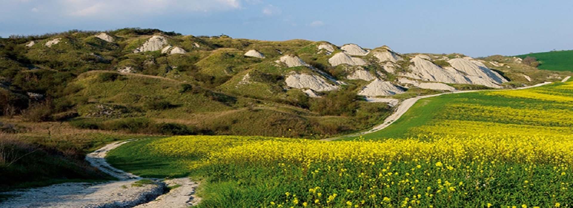 Biancane Crete Senesi Leonina