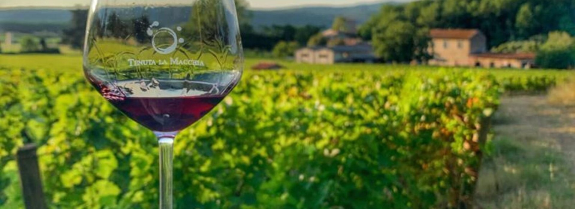 Degustazione Tenuta La Macchia Degustazione Tenuta La Macchia