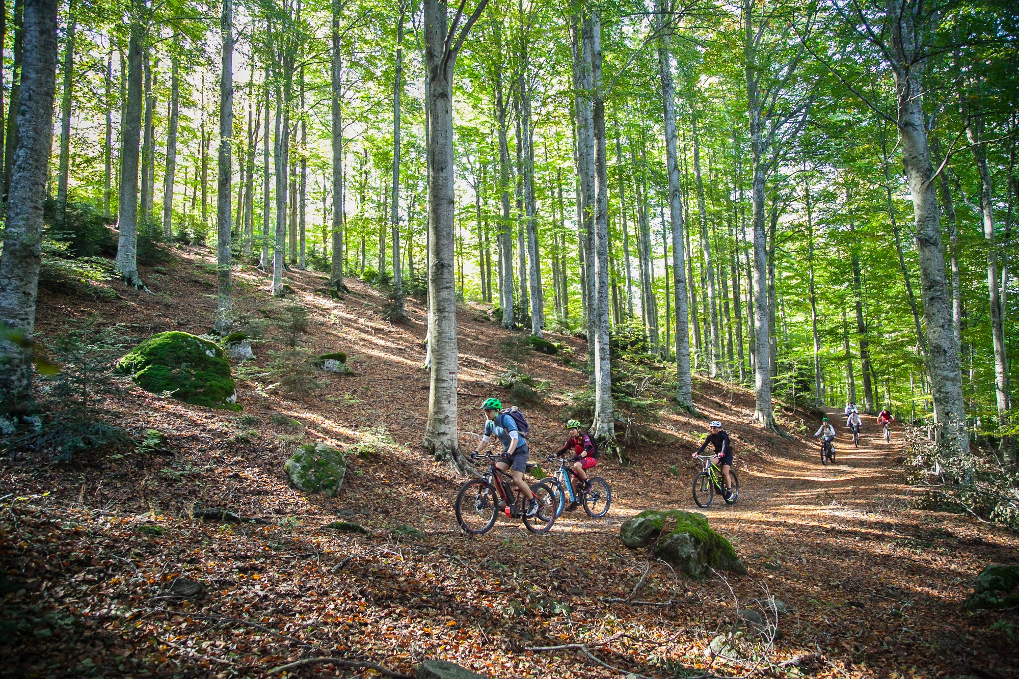 Itinerario circular de la Montaña Amiata en bicicleta