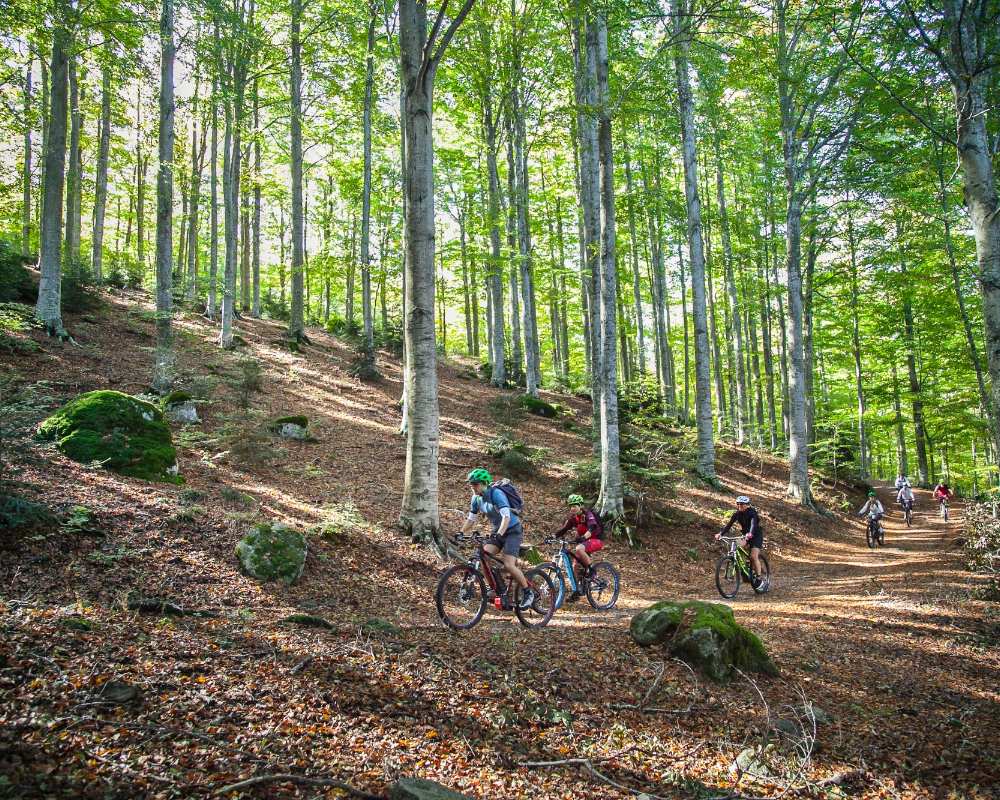 Itinerario en bicicleta del recorrido circular de la Montaña Amiata, Toscana