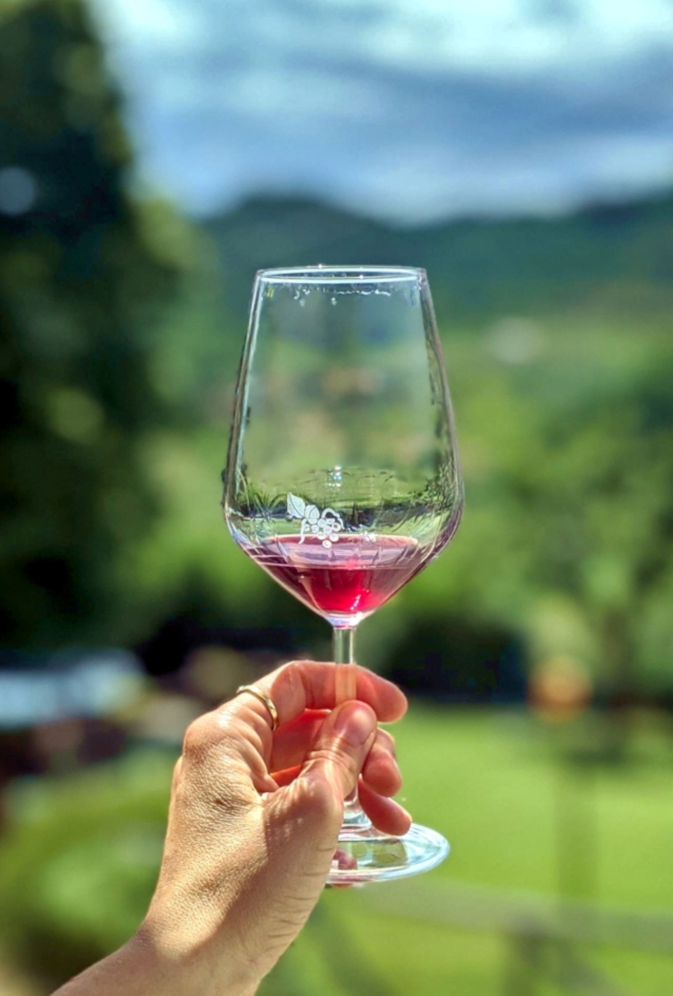 Tour in bici nella Piana di Lucca con degustazione di olio e vino