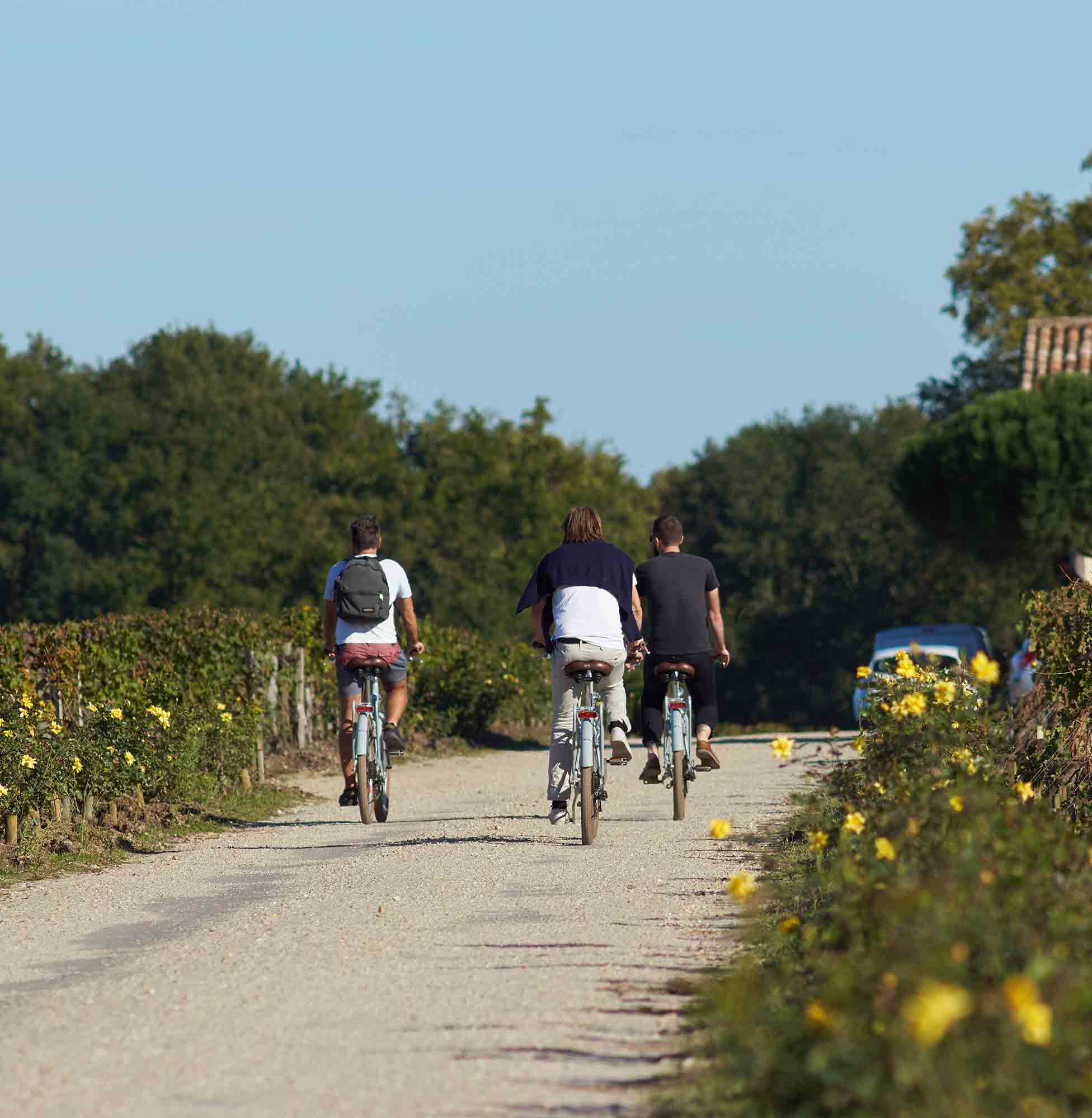 Tour privato di mezza giornata in bici con partenza da Firenze