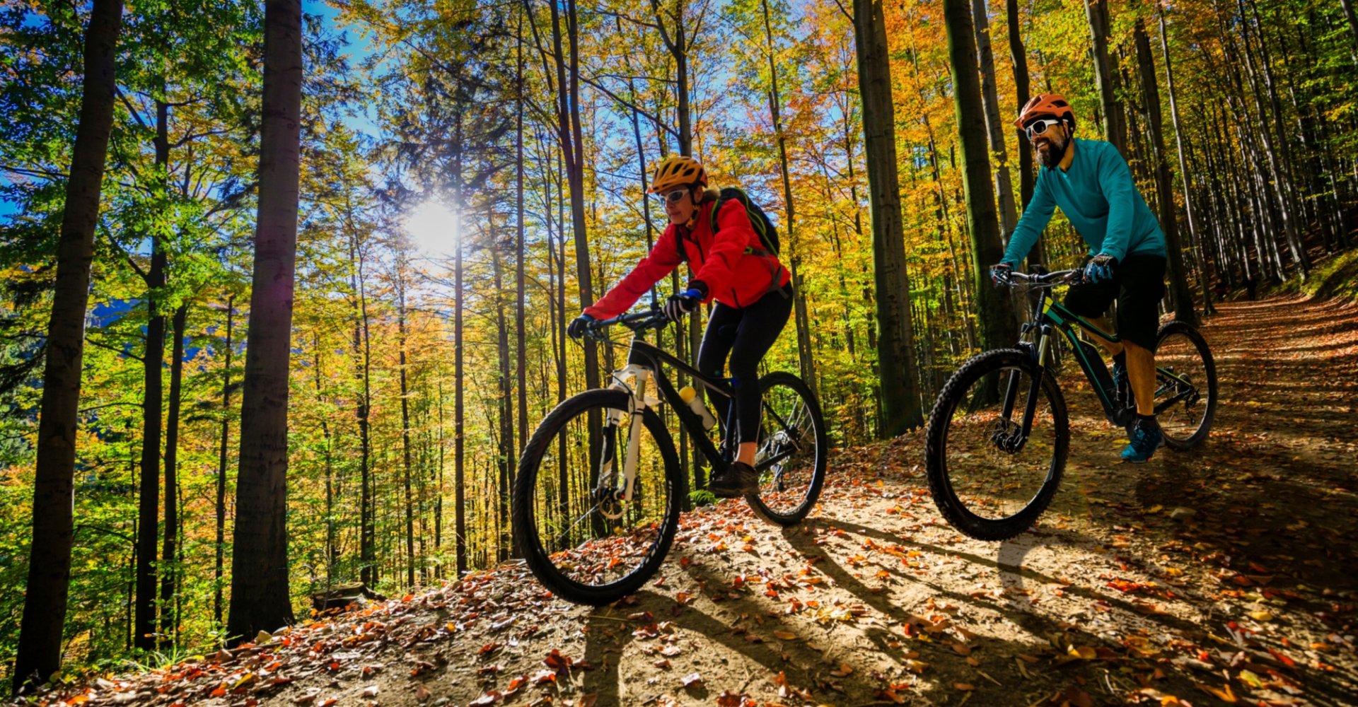 En bicicleta por el bosque