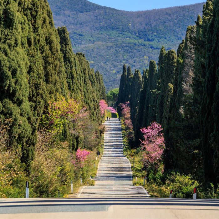 Seven days by bike between Castiglione della Pescaia and Castagneto Carducci