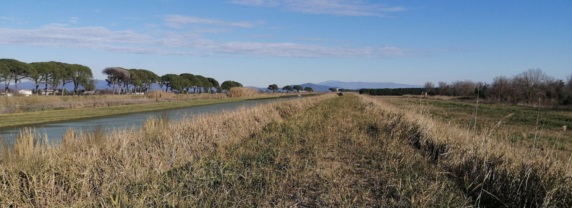 Visita guidata gratuita nelle zone del grossetano interessate dalle bonifiche Visita guidata gratuita nelle zone del grossetano interessate dalle bonifiche