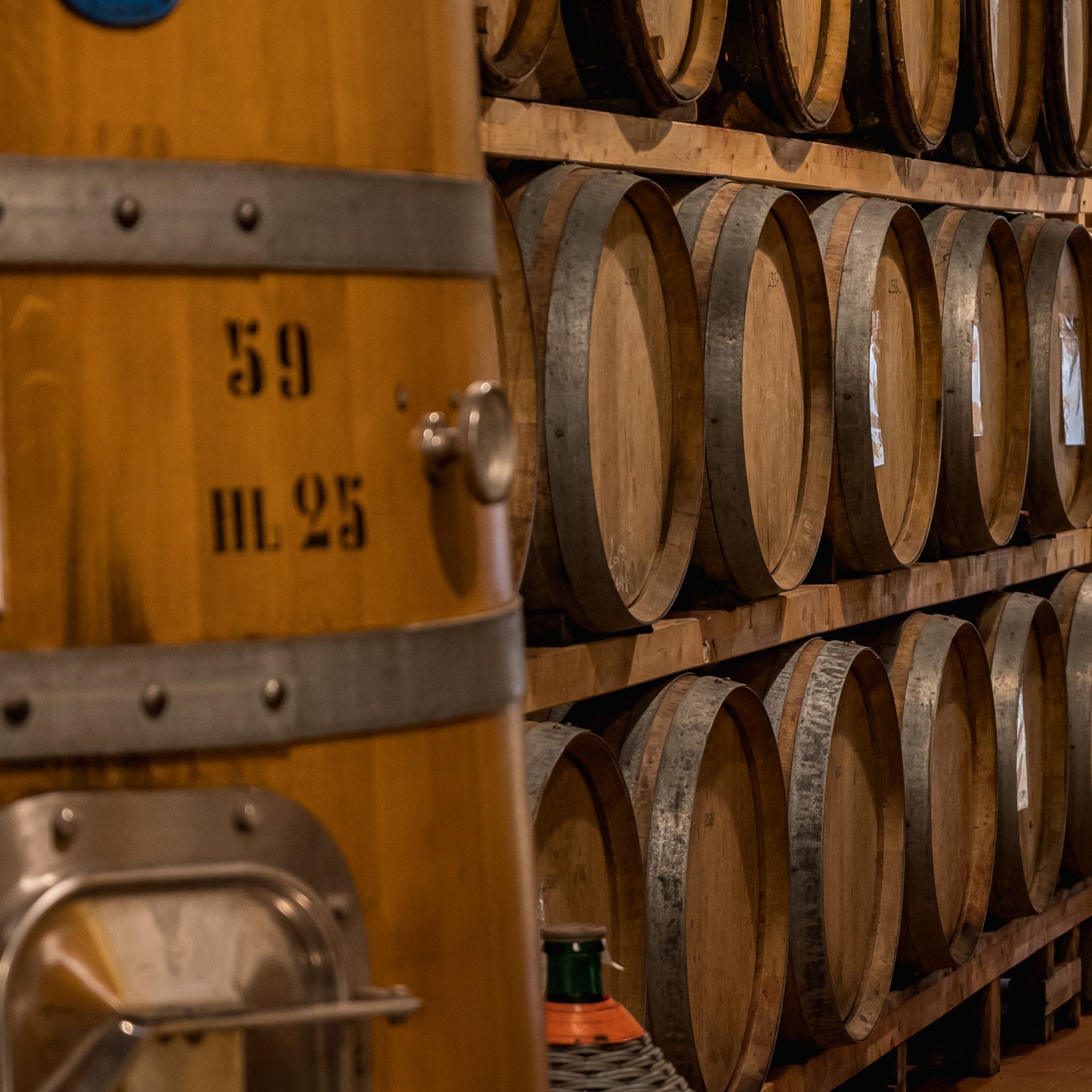 Visita guidata con degustazione sulle colline nei dintorni di Montepulciano