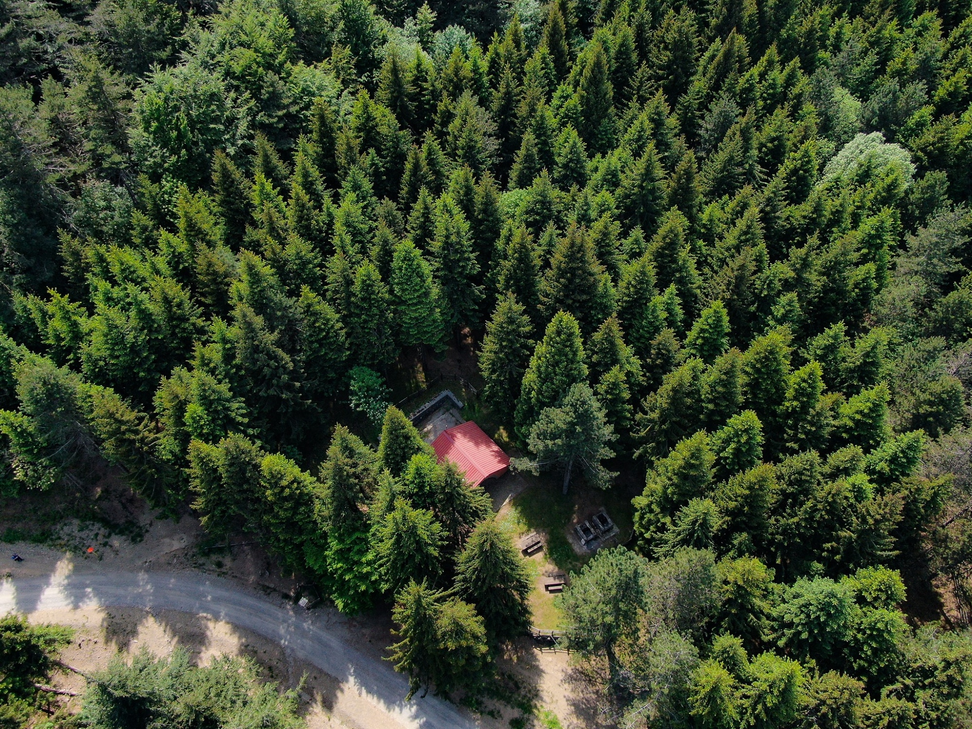 Vista aerea sulla Foresta del Brattello