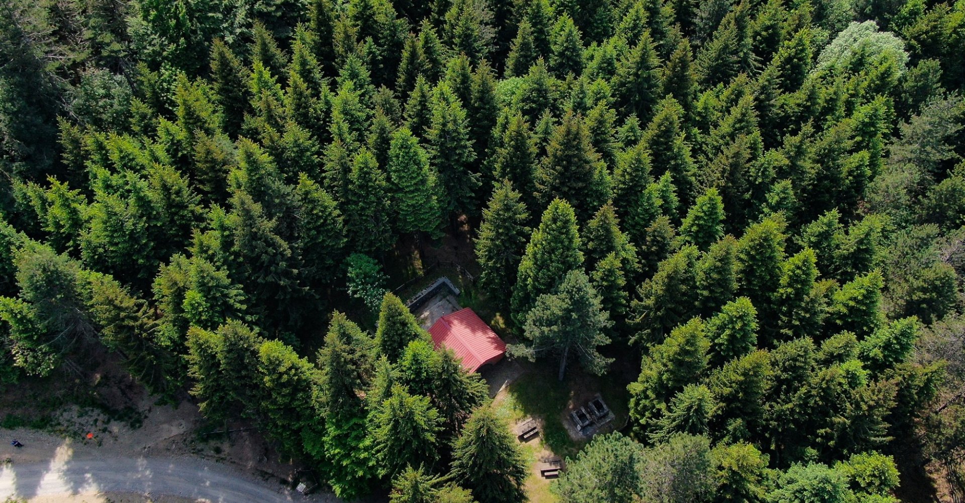 Aerial view on the Brattello Forest