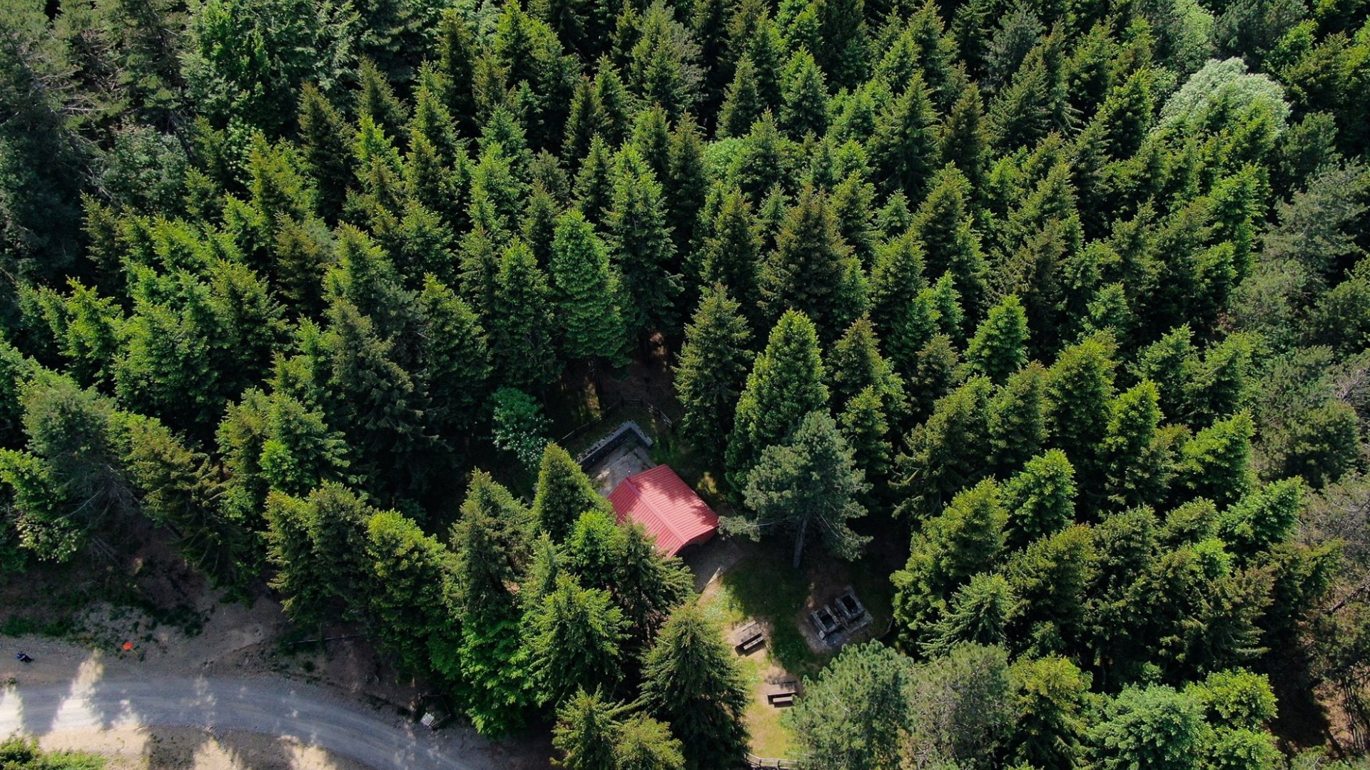 Luftaufnahme des Waldes des Brattello-Passes