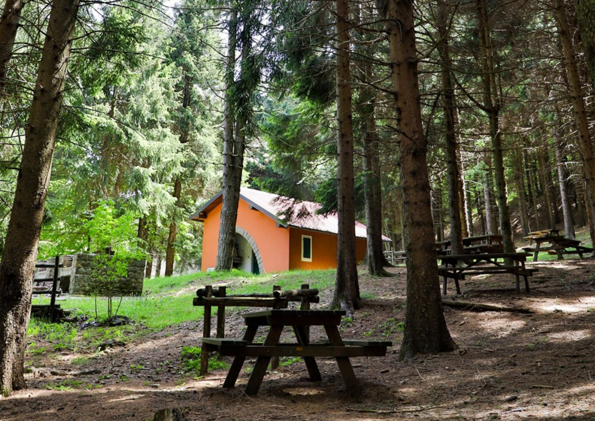 Rastplatz im Herzen des Waldes des Brattello-Passes