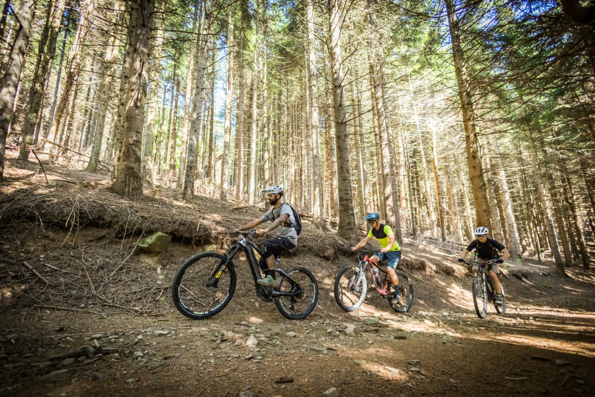 VTT dans la Forêt de Brattello