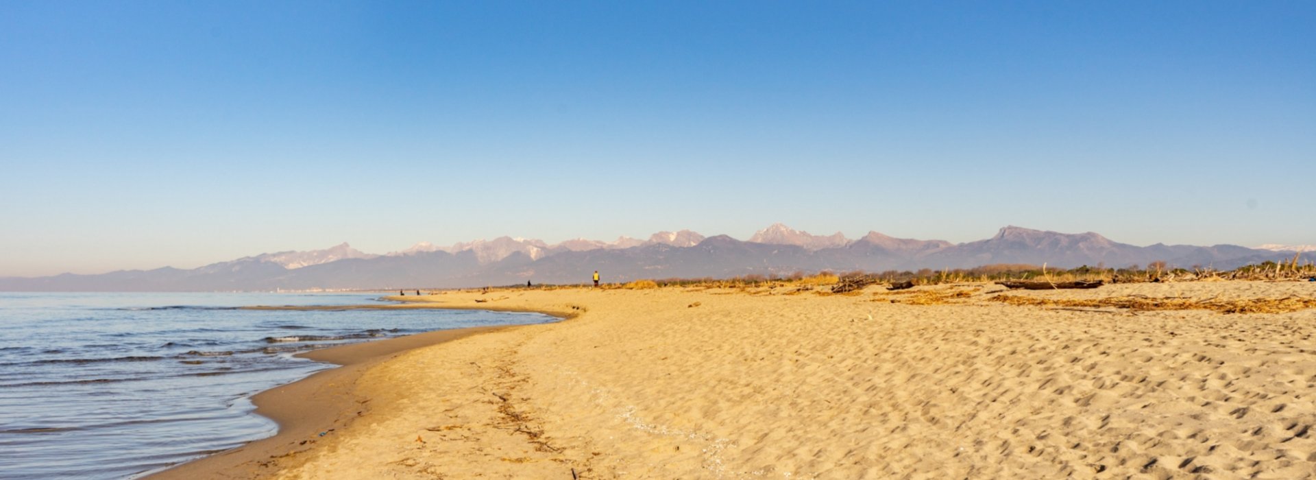 Trekking fino alla spiaggia di Marina di Vecchiano nel Parco di Migliarino, Massaciuccoli e San Rossore Trekking fino alla spiaggia di Marina di Vecchiano nel Parco di Migliarino, Massaciuccoli e San Rossore