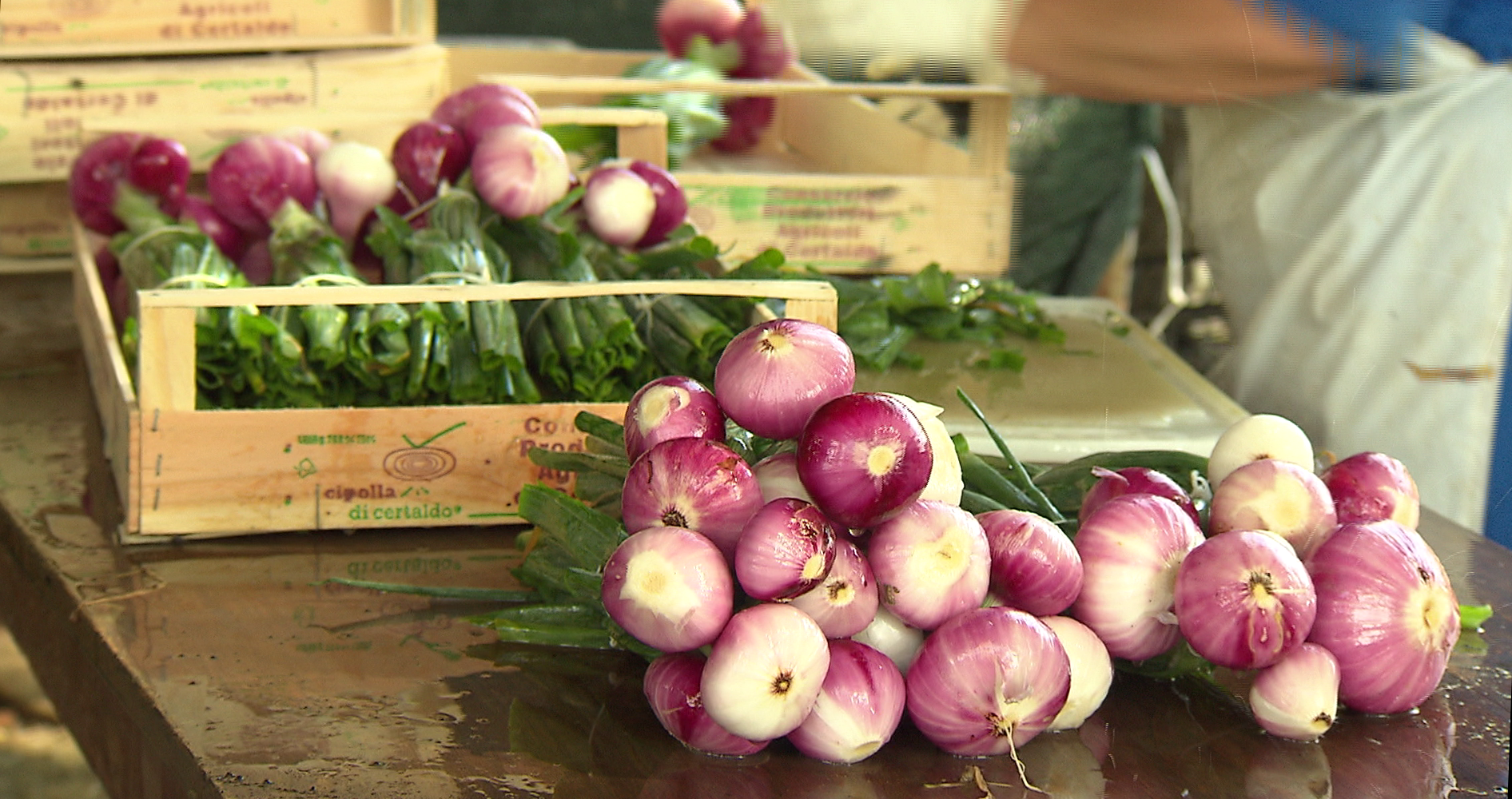 Onion of Certaldo