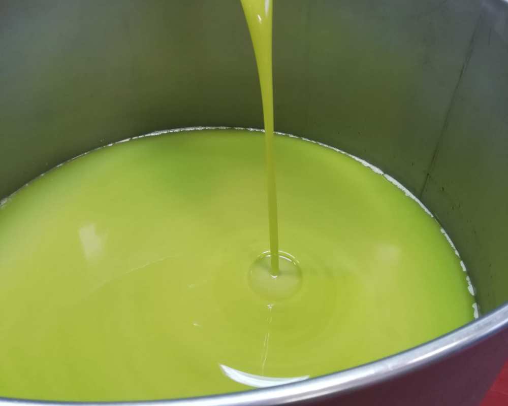 Olivenöl aus Reggello