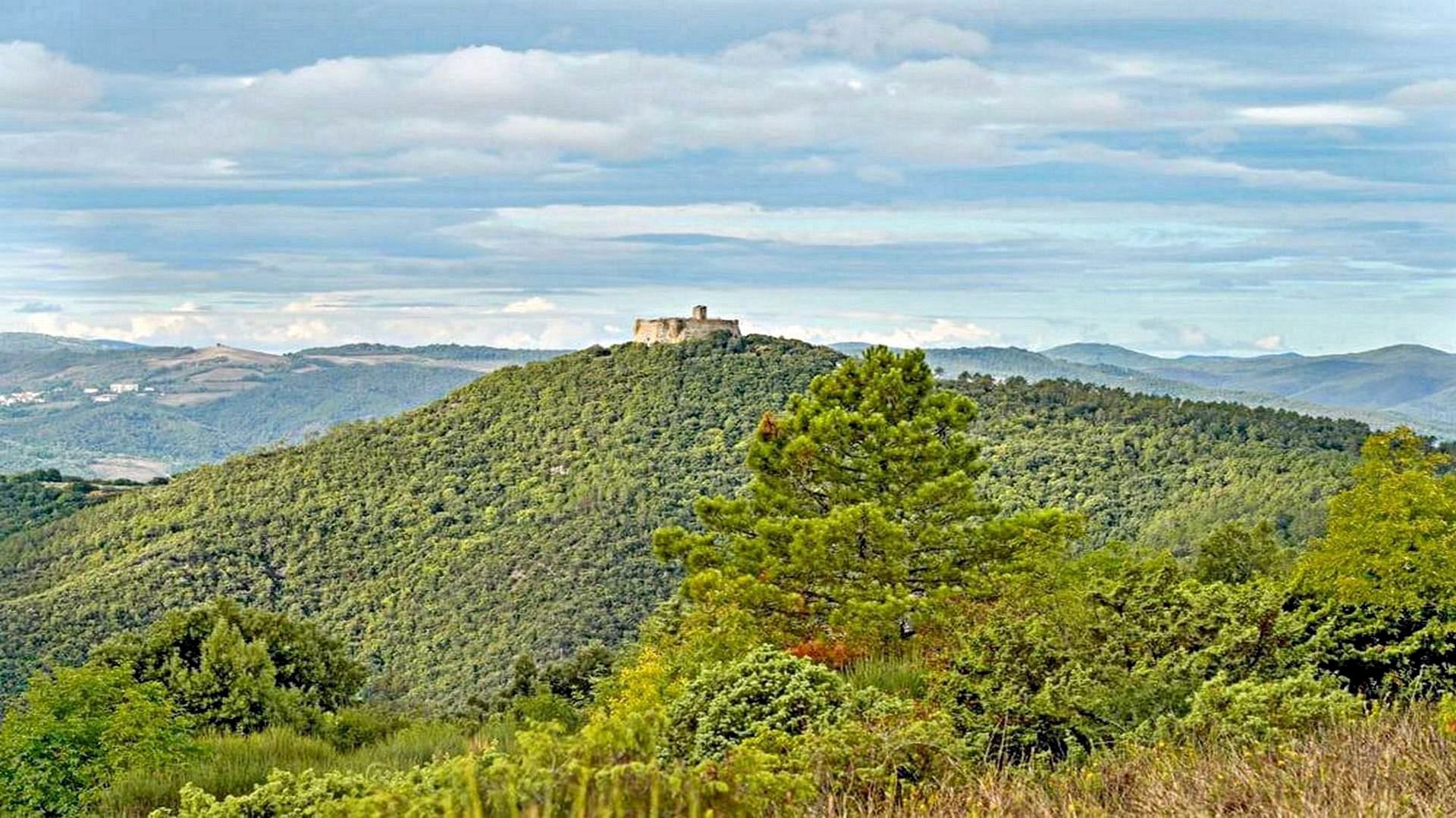 La Risalita del Pavone