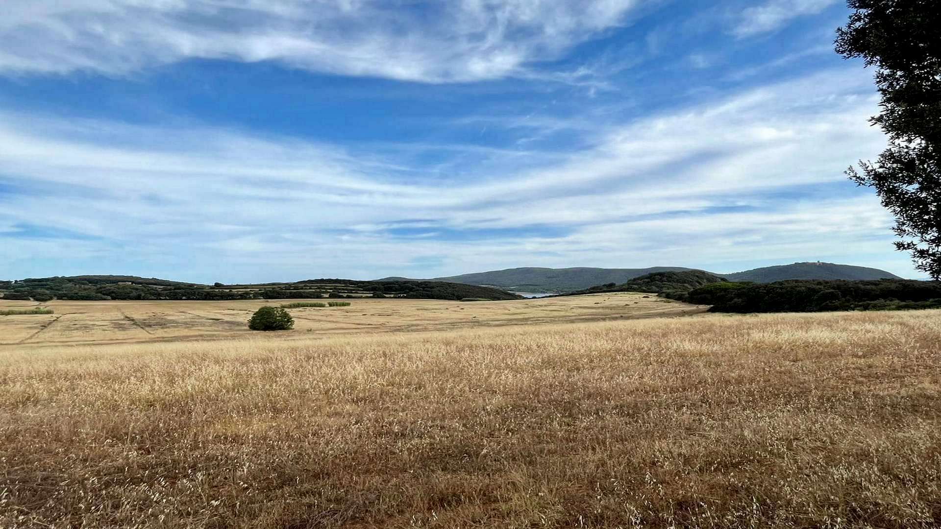 Trekking di 10 km tra San Carlo, Monte Romitorio e Coronato sulla Costa Etrusca