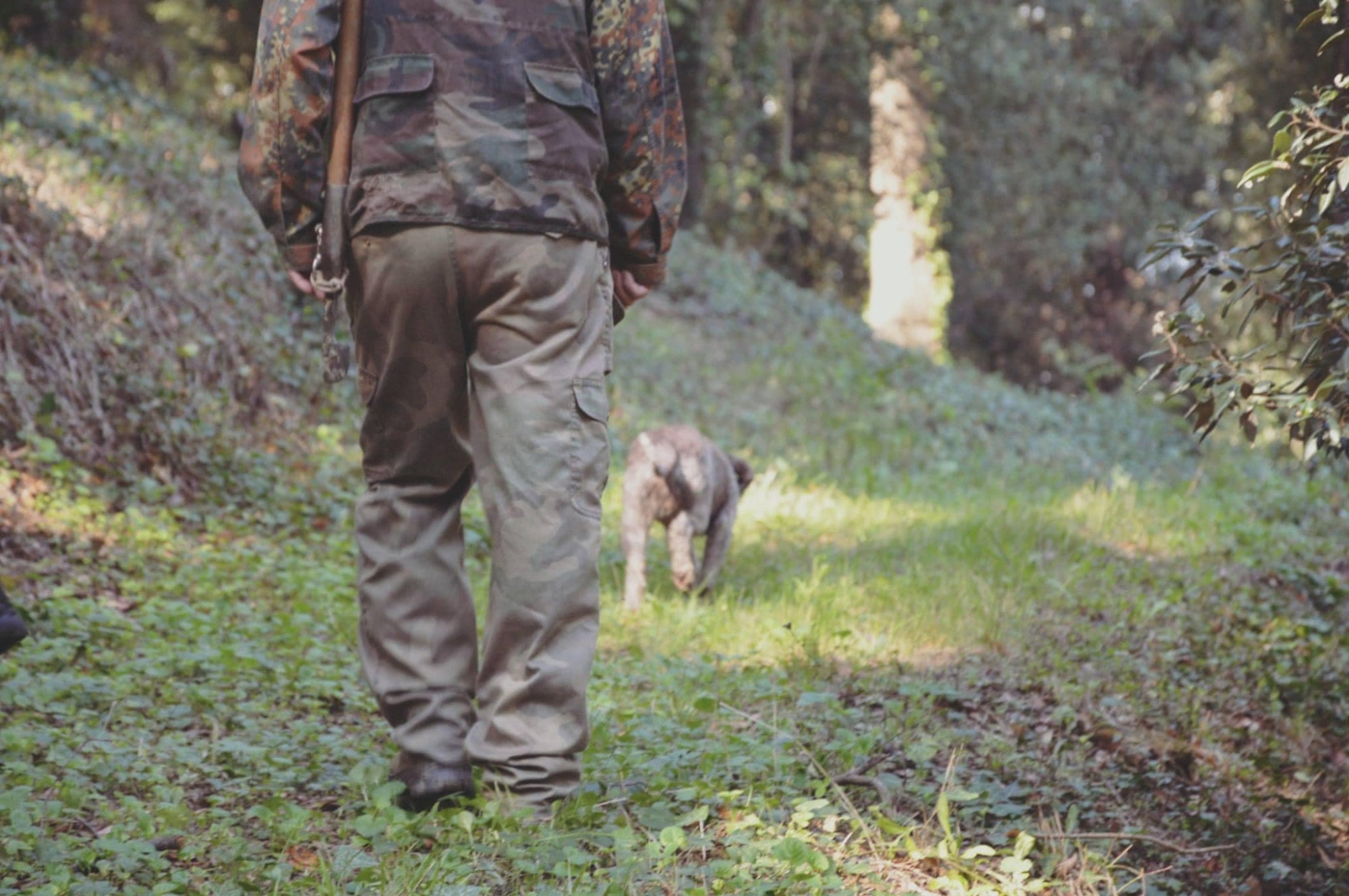Fine settimana di caccia al tartufo a San Miniato, con soggiorno a Villa Sonnino