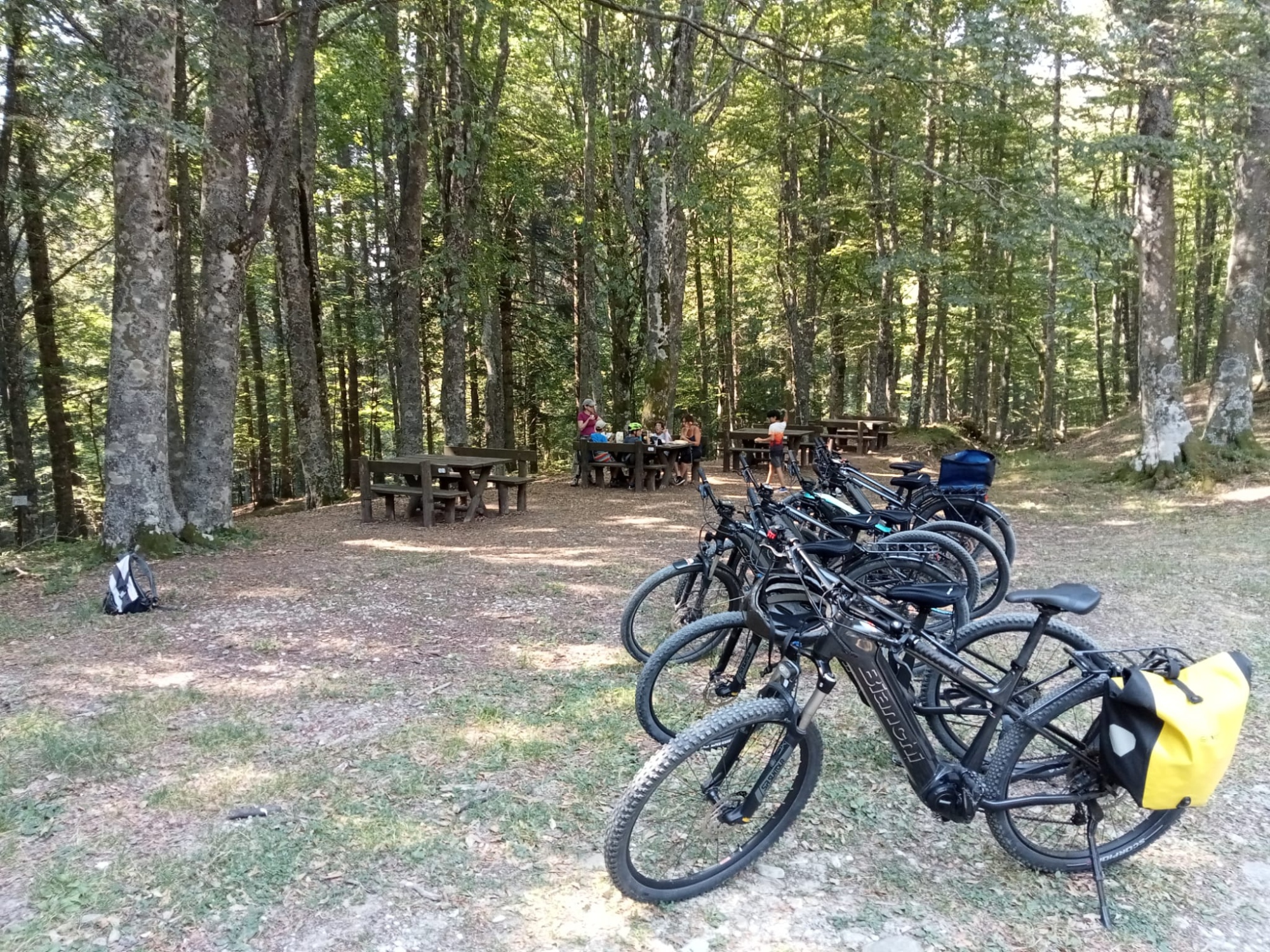 Bike foresta di Camaldoli