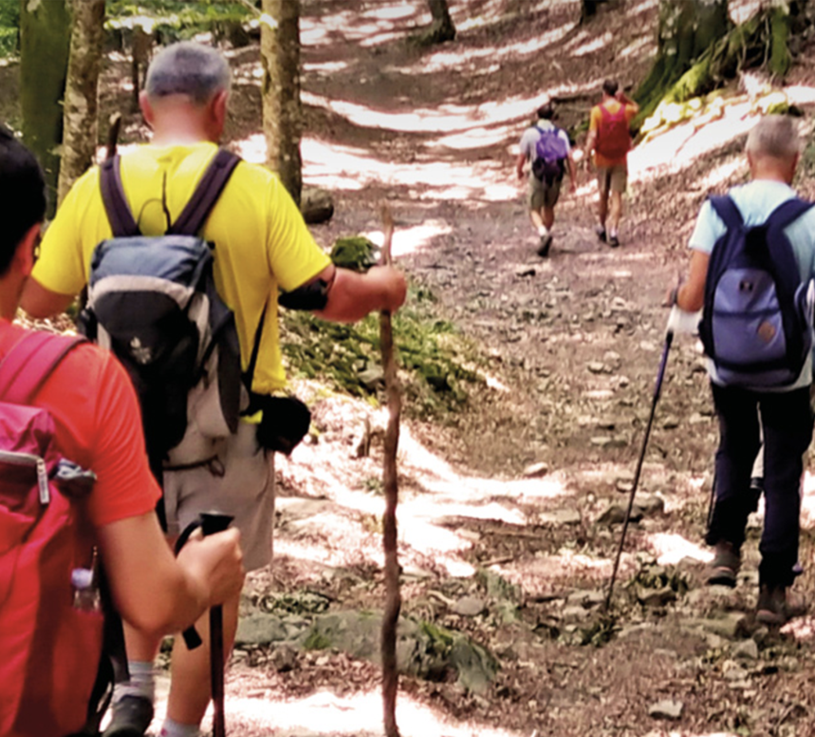 Persone in gruppo che fanno trekking