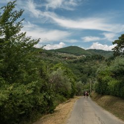 Passeggiata enogastronomica a Monsummano Terme