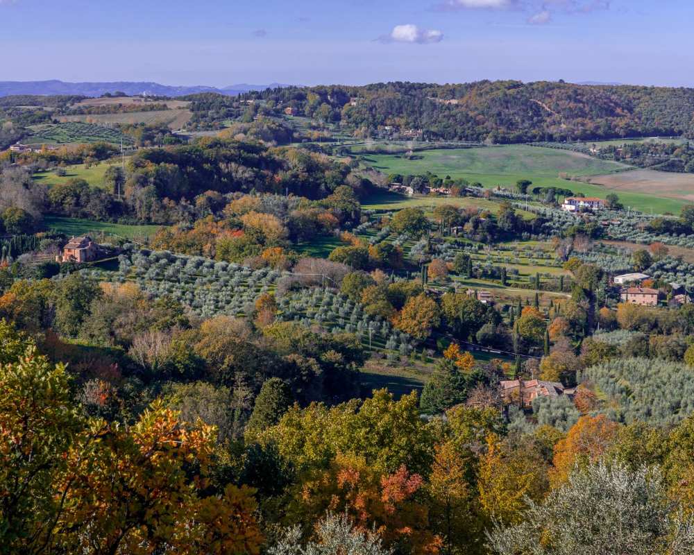 Die Landschaft von Montepulciano