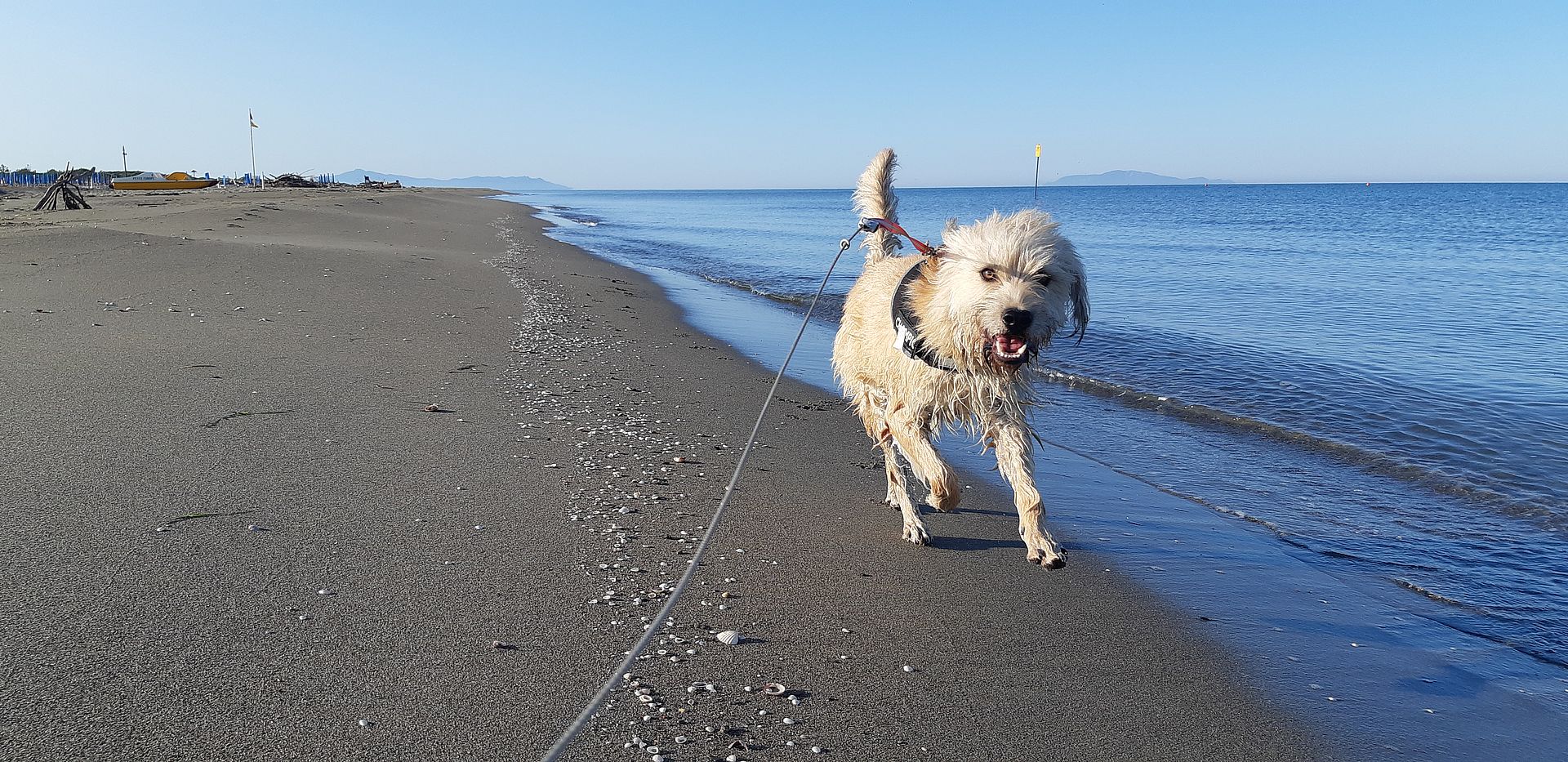 Tre giorni di vacanza con il tuo cane in maggio e ottobre