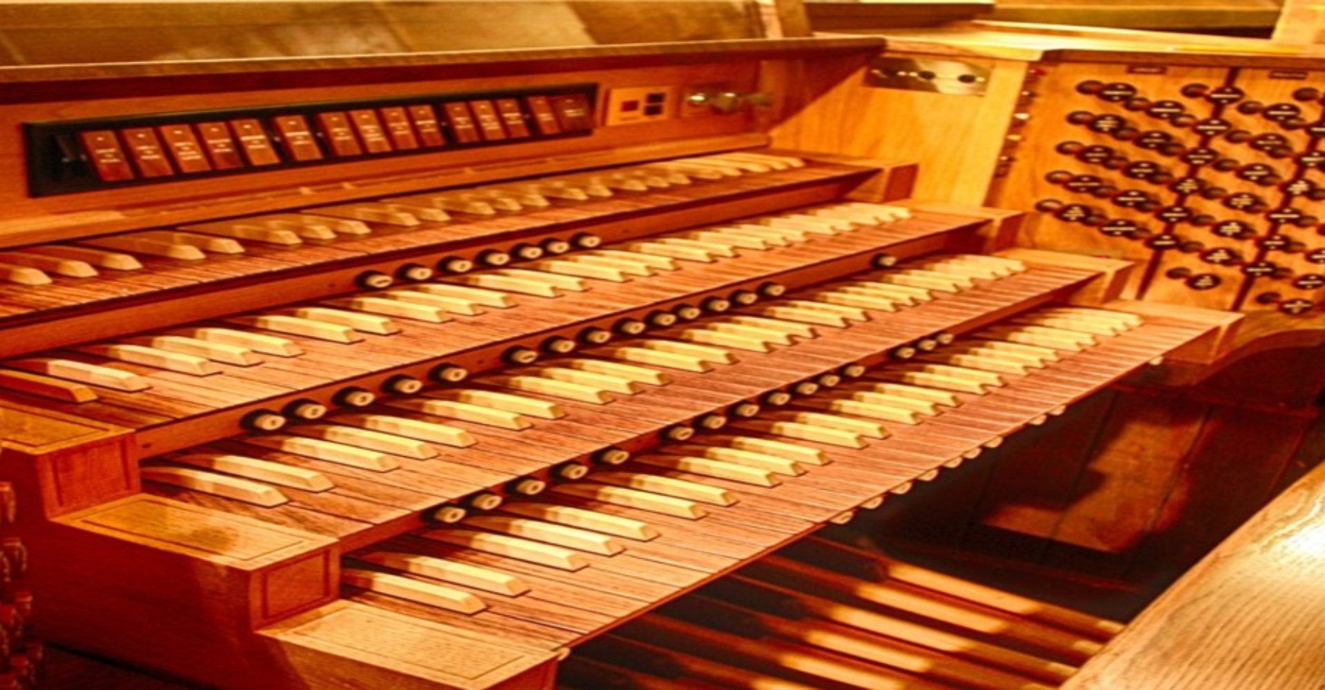 Canne d'organo Canne d'organo