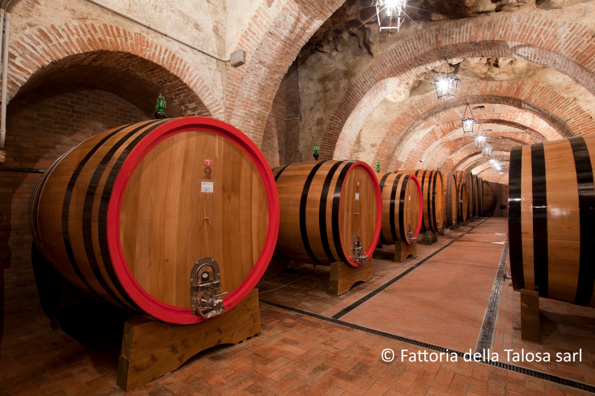 Montepulciano: guided winery tour with tasting or lunch