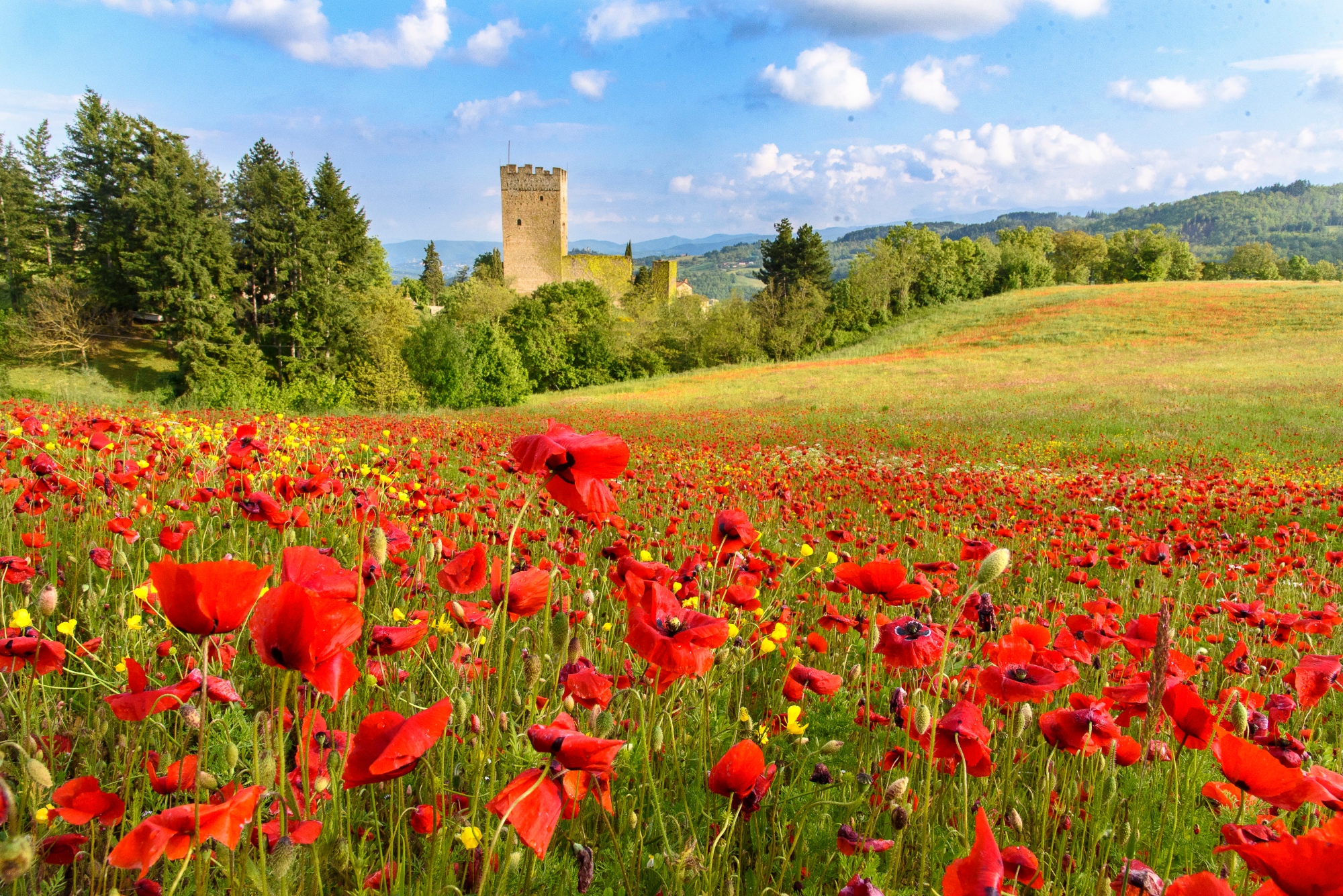 Gita di primavera in Casentino