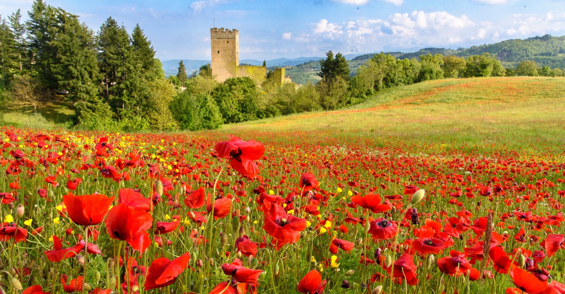 Gita di primavera in Casentino | Visit Tuscany