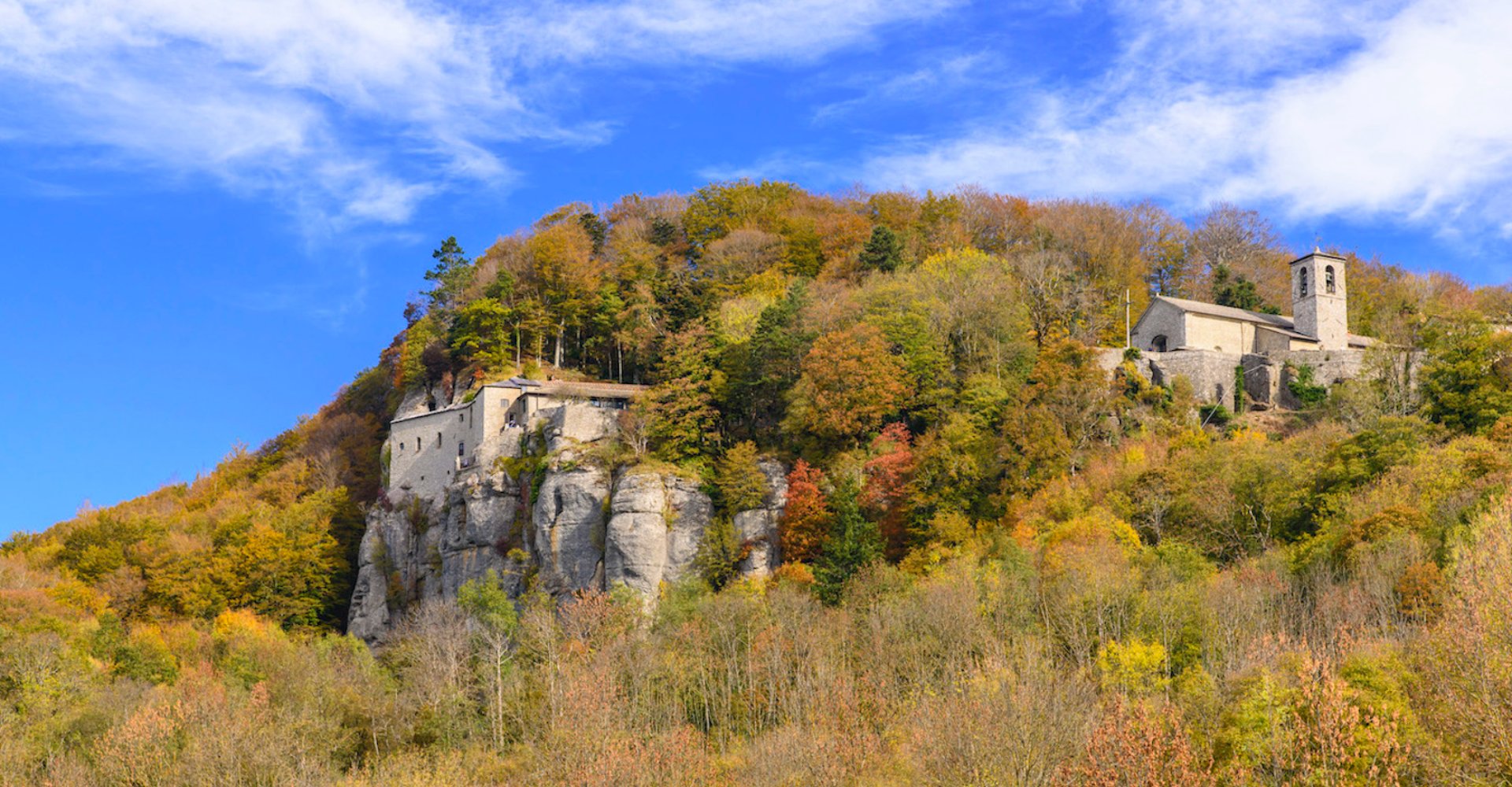 From monumental trees to the pilgrims' way