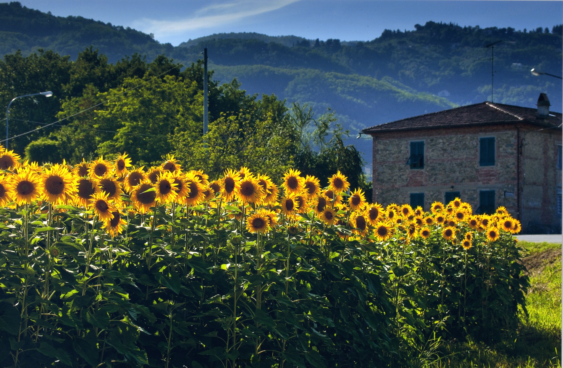 Soggiorno nel verde vicino a Montecatini Terme in occasione del passaggio del Tour de France in Toscana