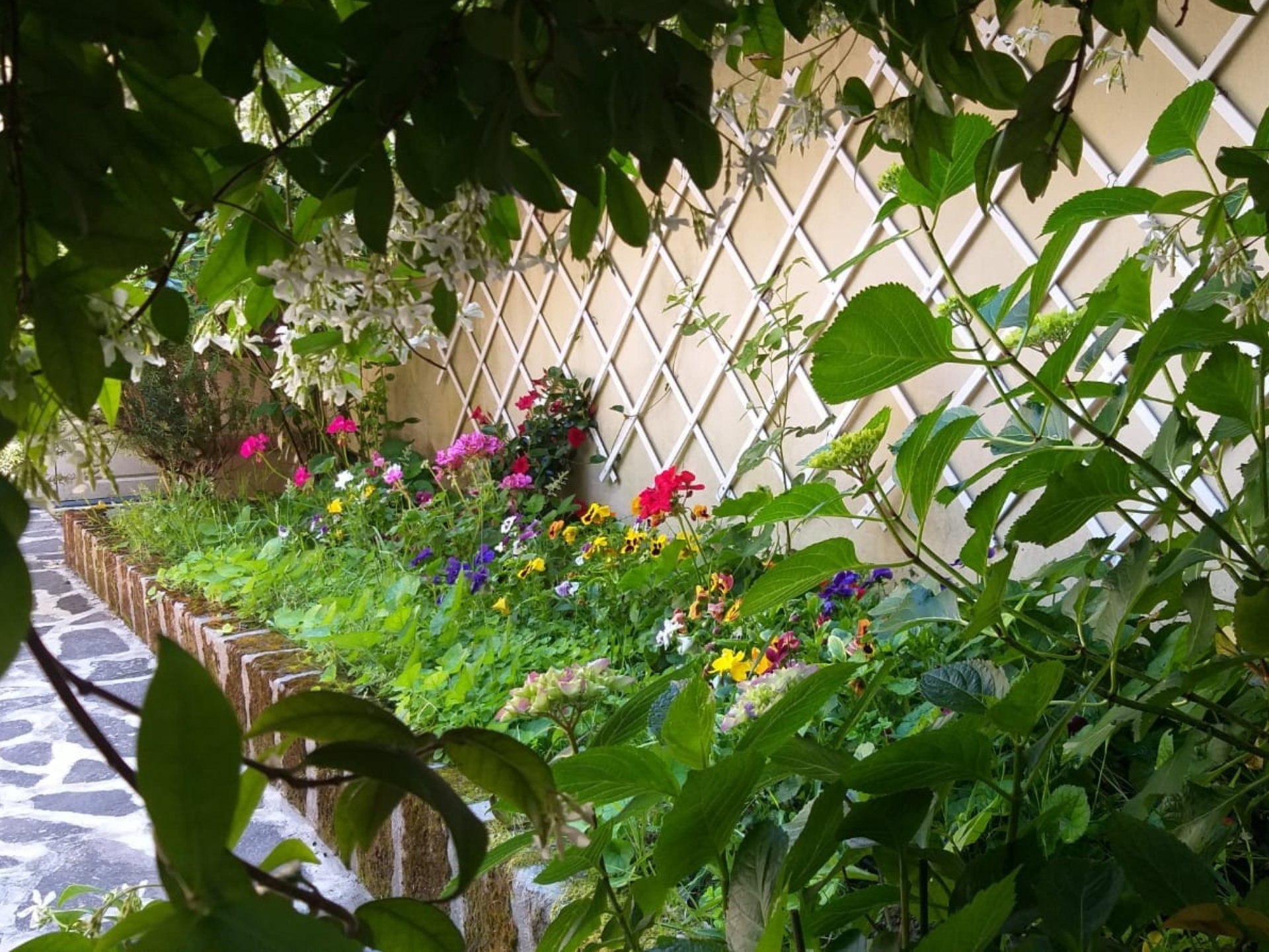 Casa Vacanze Le Rose di Leo dettaglio giardino in fiore